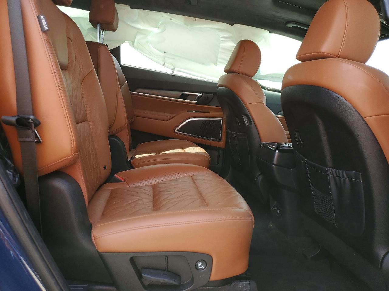 2024 Kia Telluride Sx-prestige X-pro Blue vin: 5XYP5DGC1RG518827