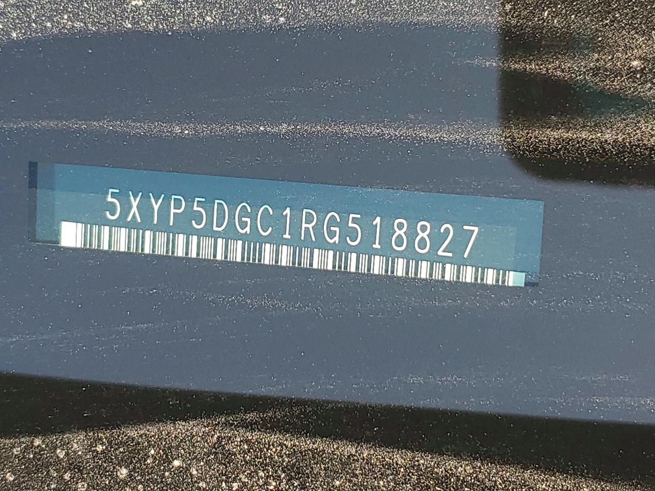 2024 Kia Telluride Sx-prestige X-pro Blue vin: 5XYP5DGC1RG518827
