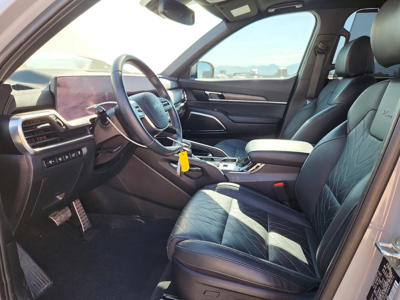 2024 Kia Telluride Sx X-pro Gray vin: 5XYP5DGC4RG479876