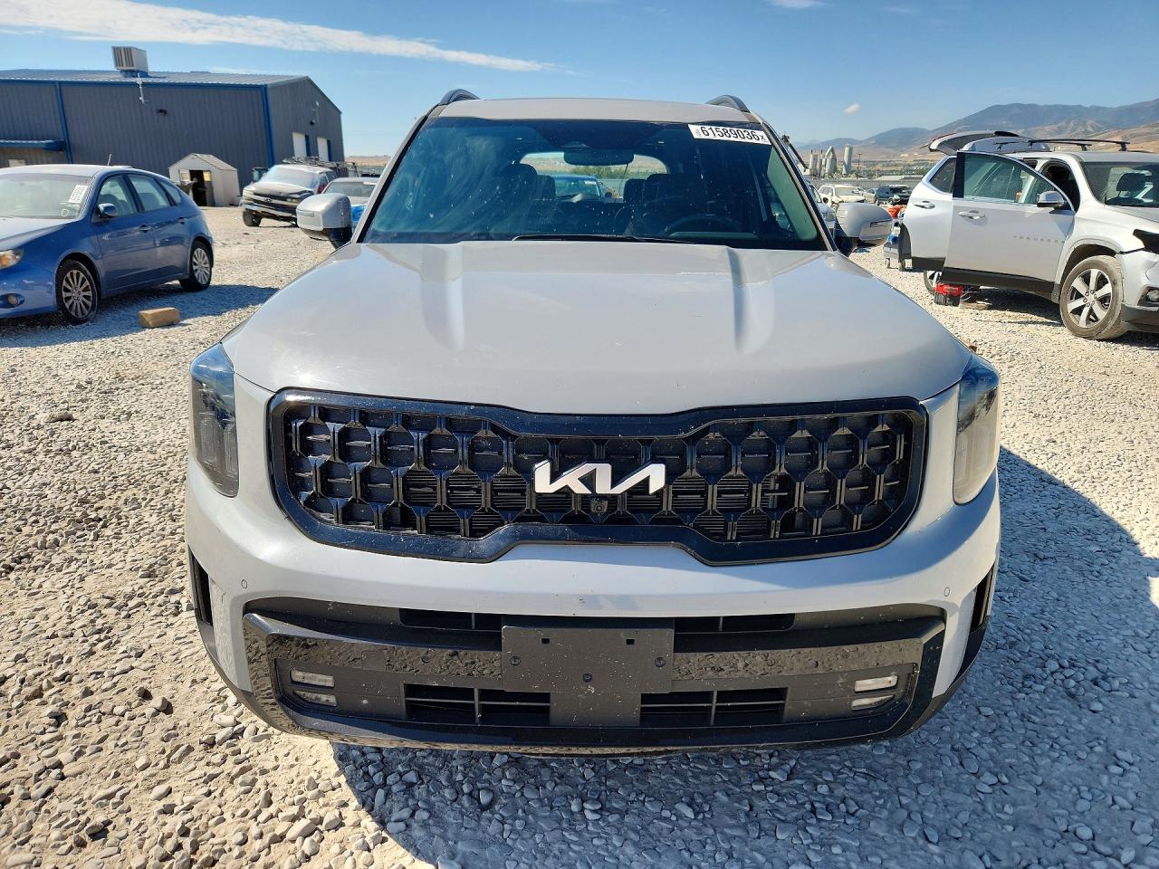 2024 Kia Telluride Sx X-pro Gray vin: 5XYP5DGC4RG479876