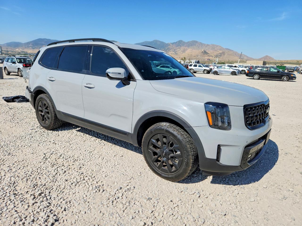 2024 Kia Telluride Sx X-pro Gray vin: 5XYP5DGC4RG479876