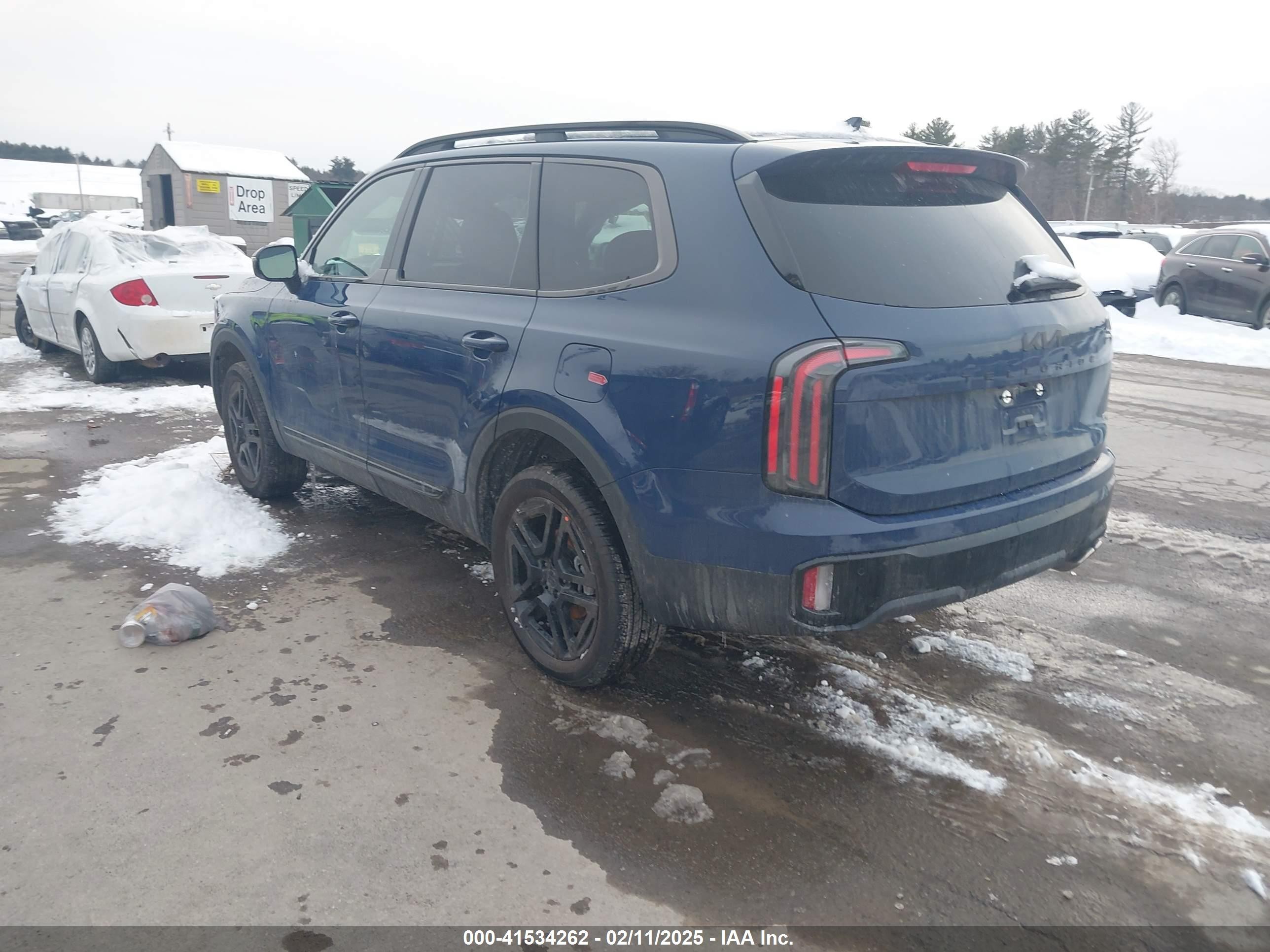 2025 Kia Telluride Sx X-line Blue vin: 5XYP5DGC5SG594377
