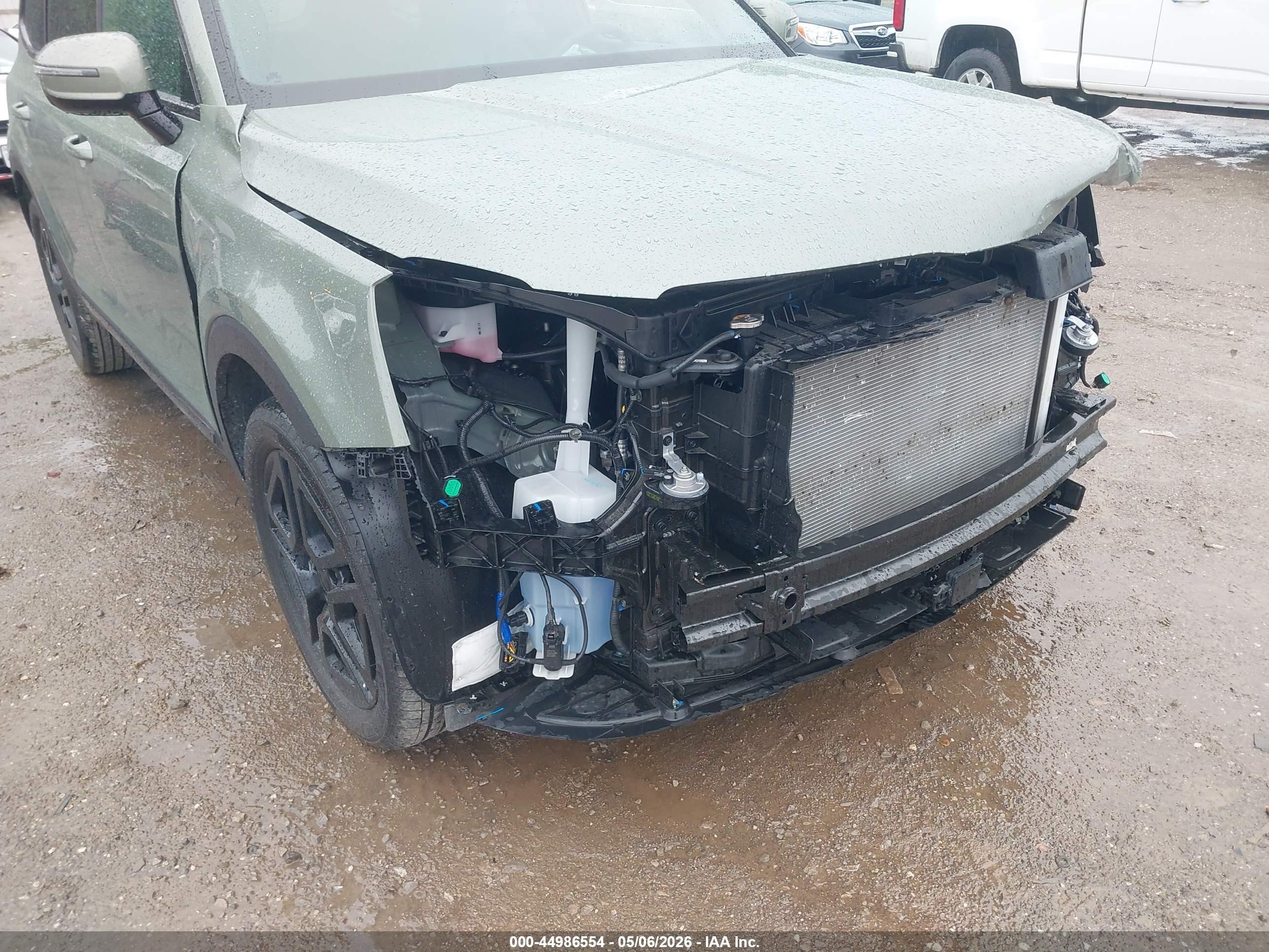 2025 Kia Telluride Sx X-line Зеленый vin: 5XYP5DGC7SG648892