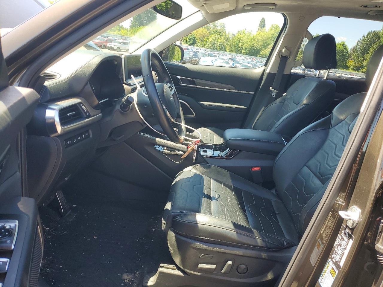 2022 Kia Telluride Sx Green vin: 5XYP5DHC0NG315534