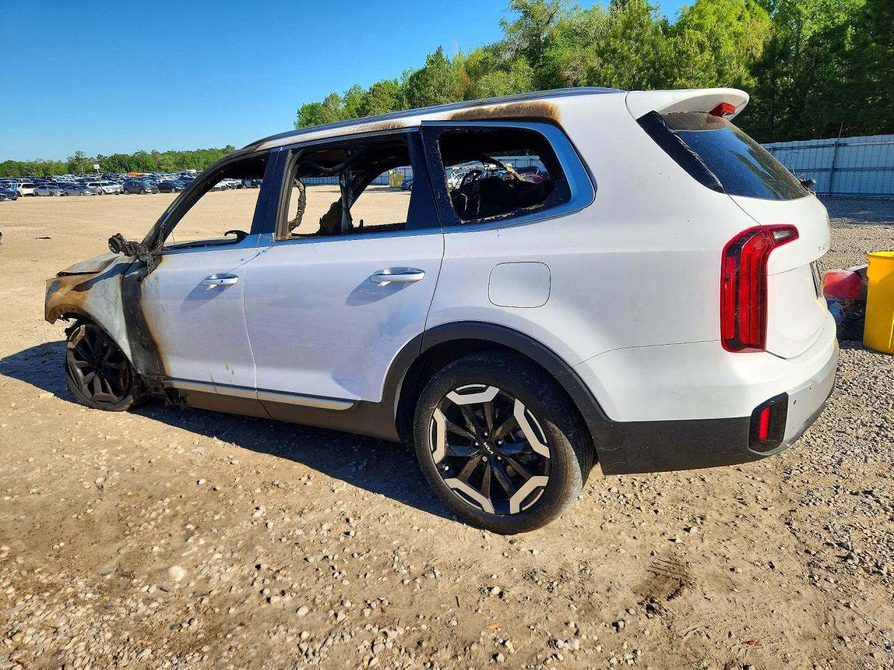 2024 Kia Telluride S White vin: 5XYP64GCXRG532383