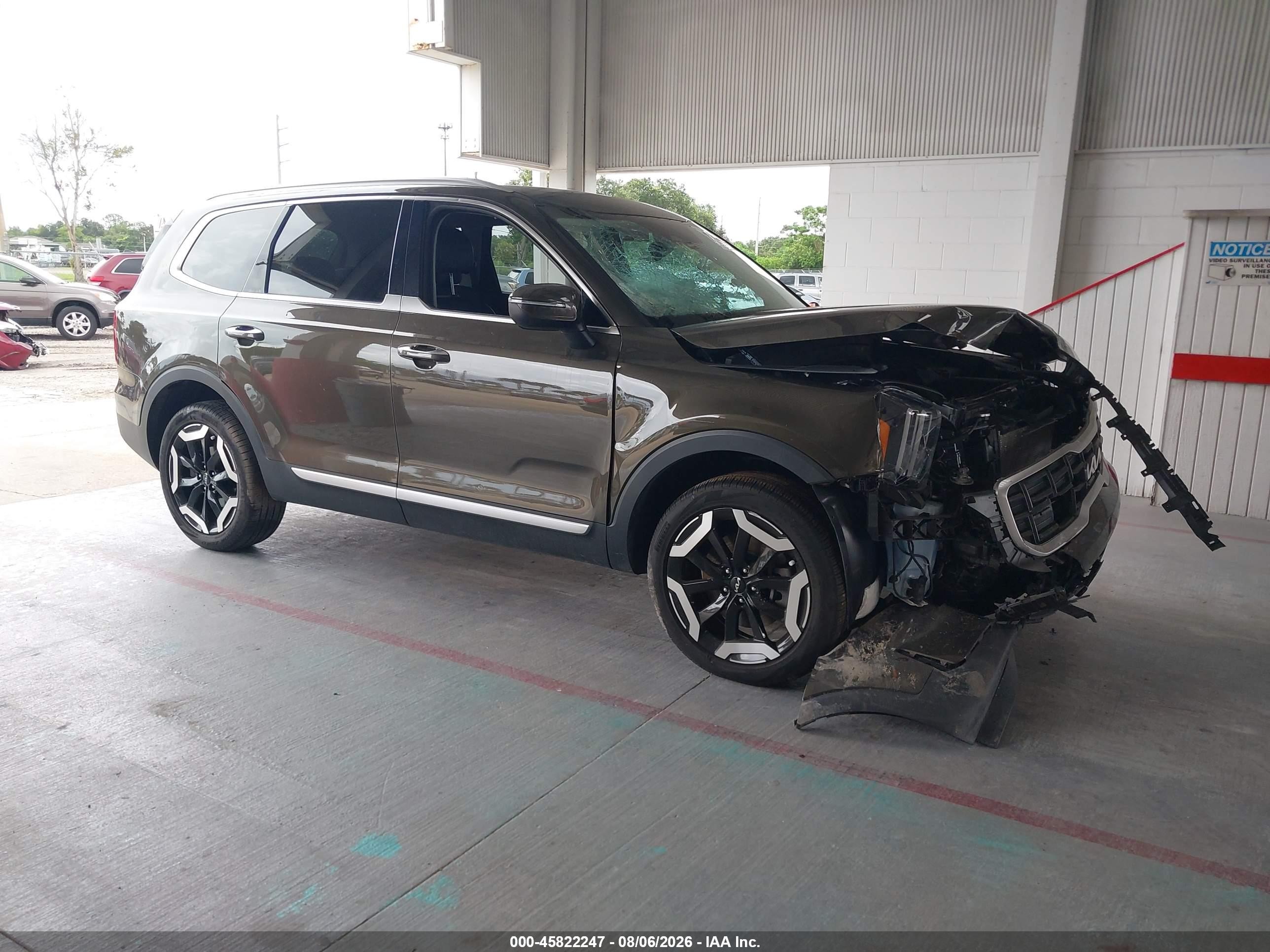 2024 Kia Telluride S Green vin: 5XYP6DGC6RG437755