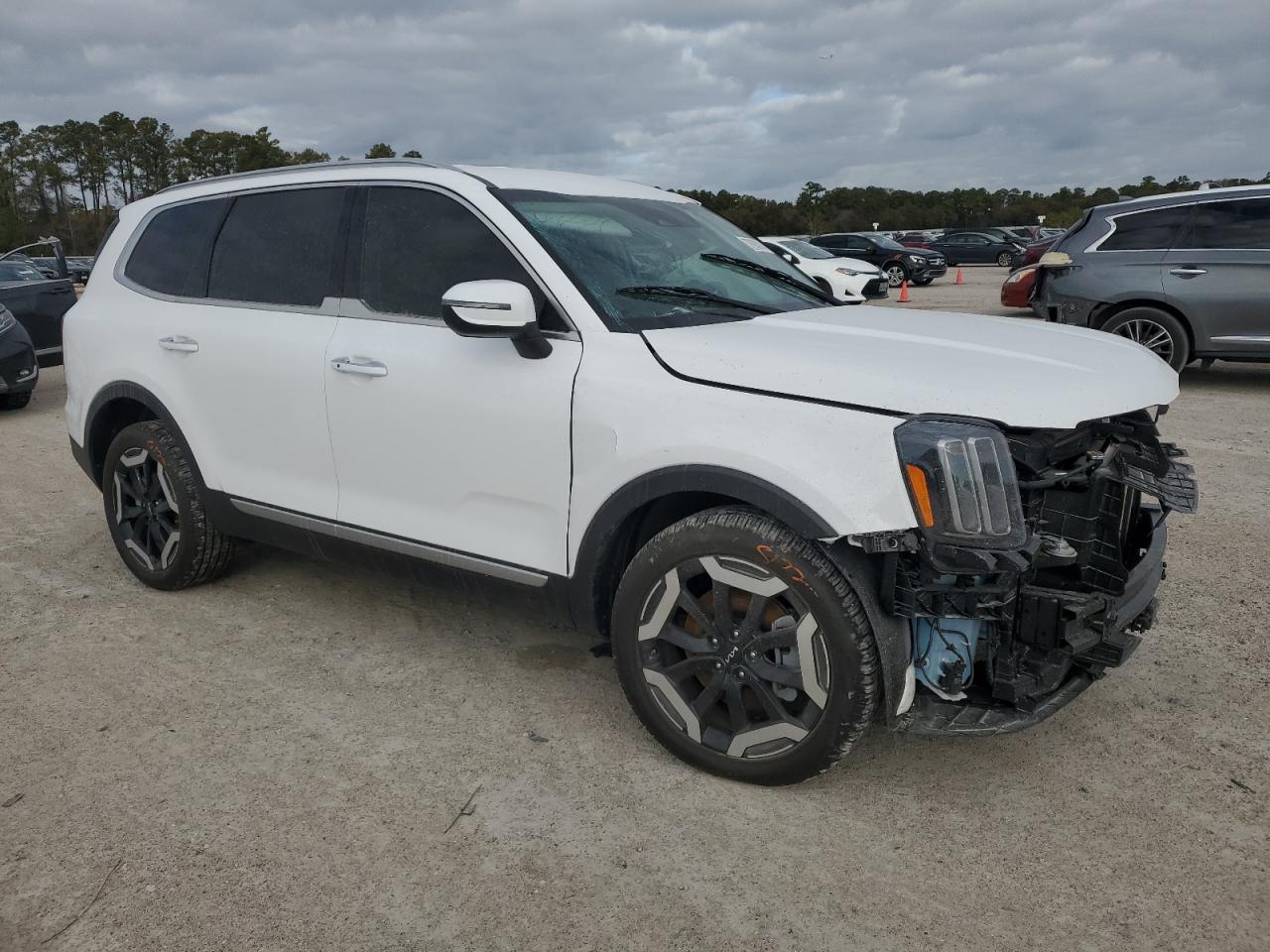2024 Kia Telluride S White vin: 5XYP6DGC6RG457360