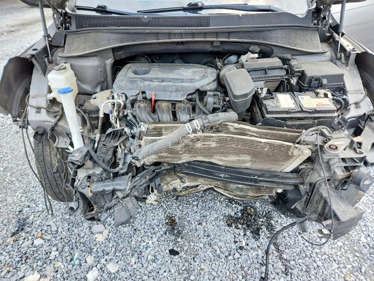 2019 Kia Sorento L Gray vin: 5XYPG4A33KG477075