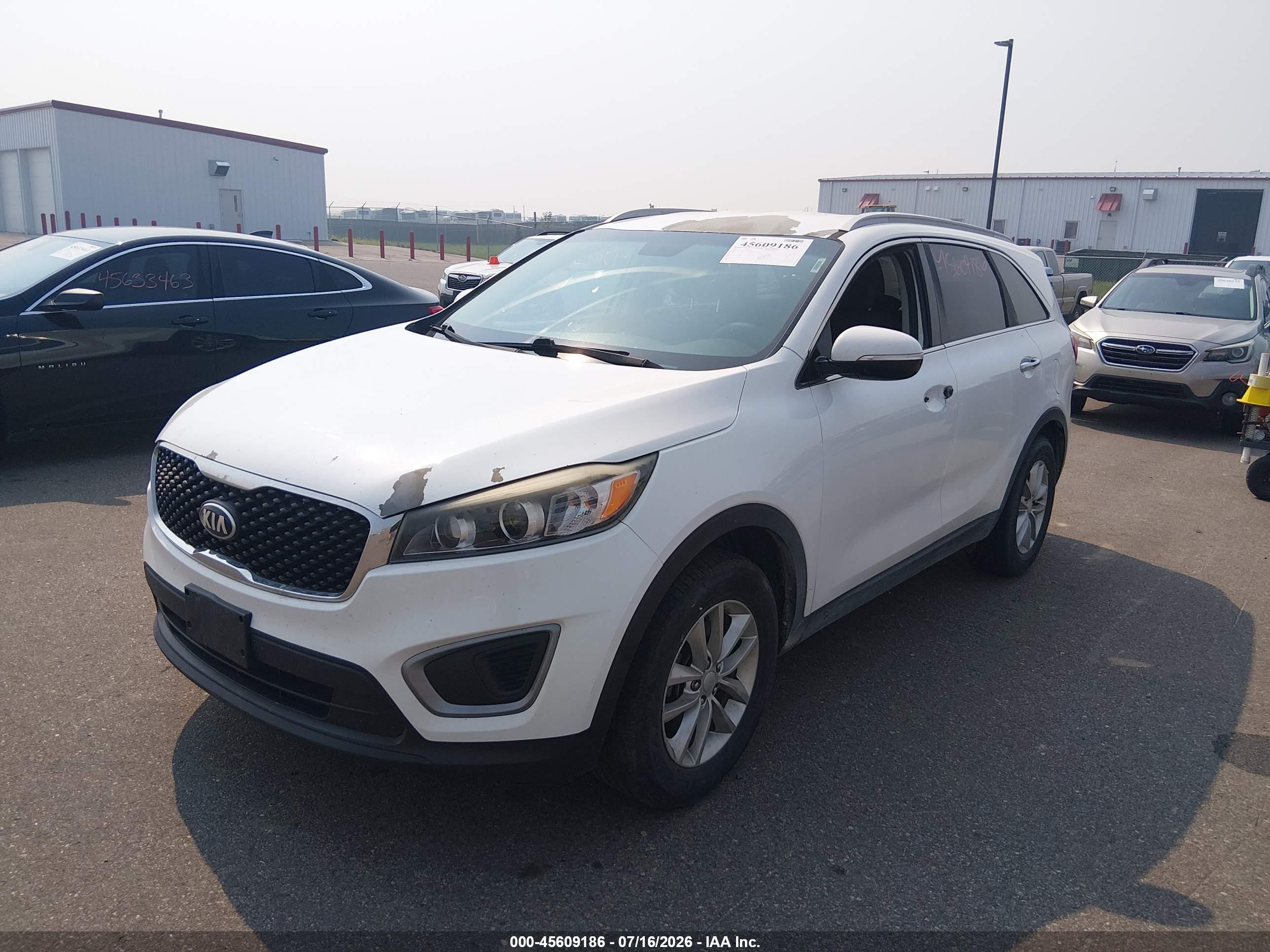2016 Kia Sorento 2.4l Lx White vin: 5XYPG4A39GG127490