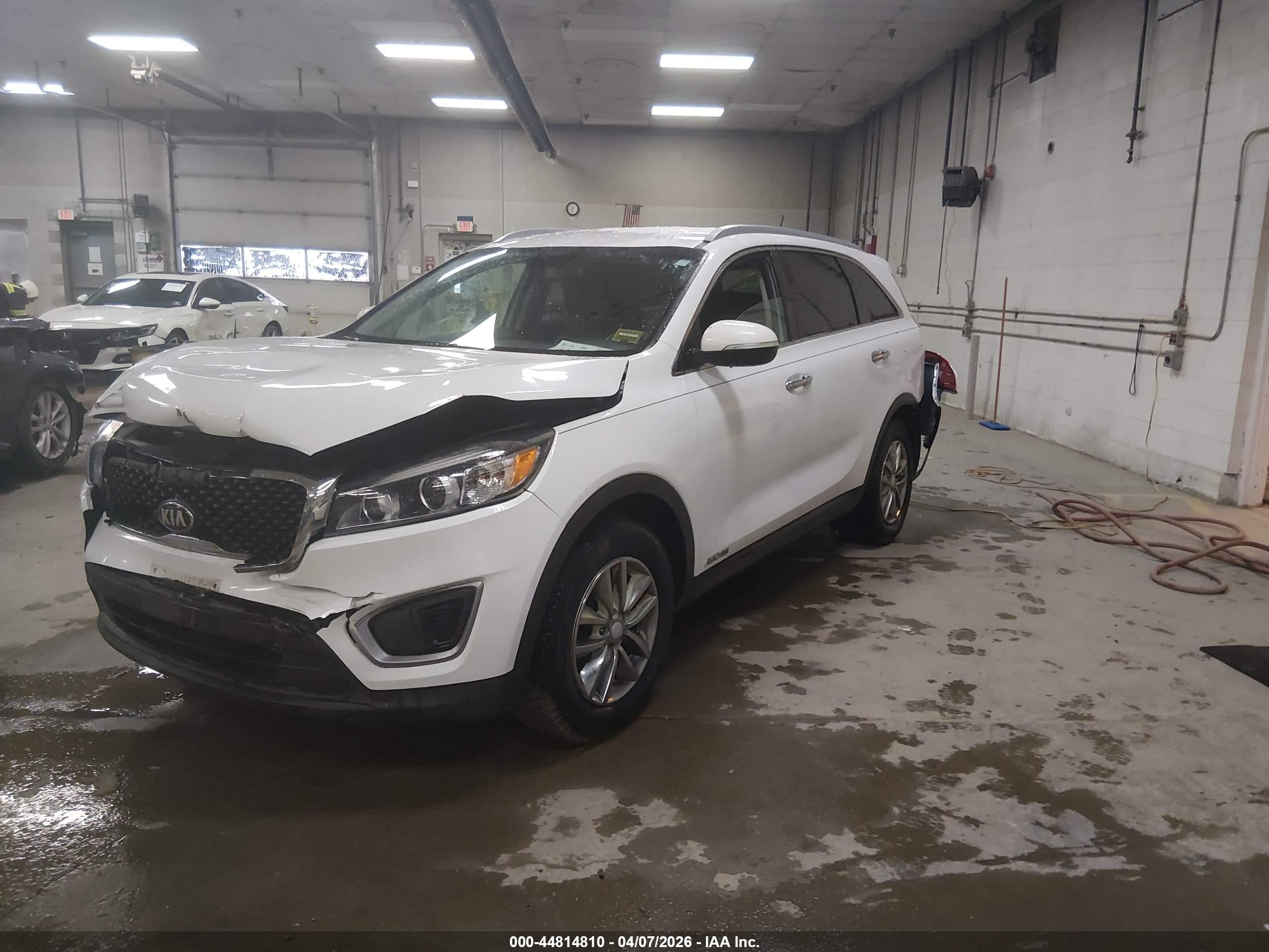 2017 Kia Sorento 3.3l Lx White vin: 5XYPGDA50HG199844