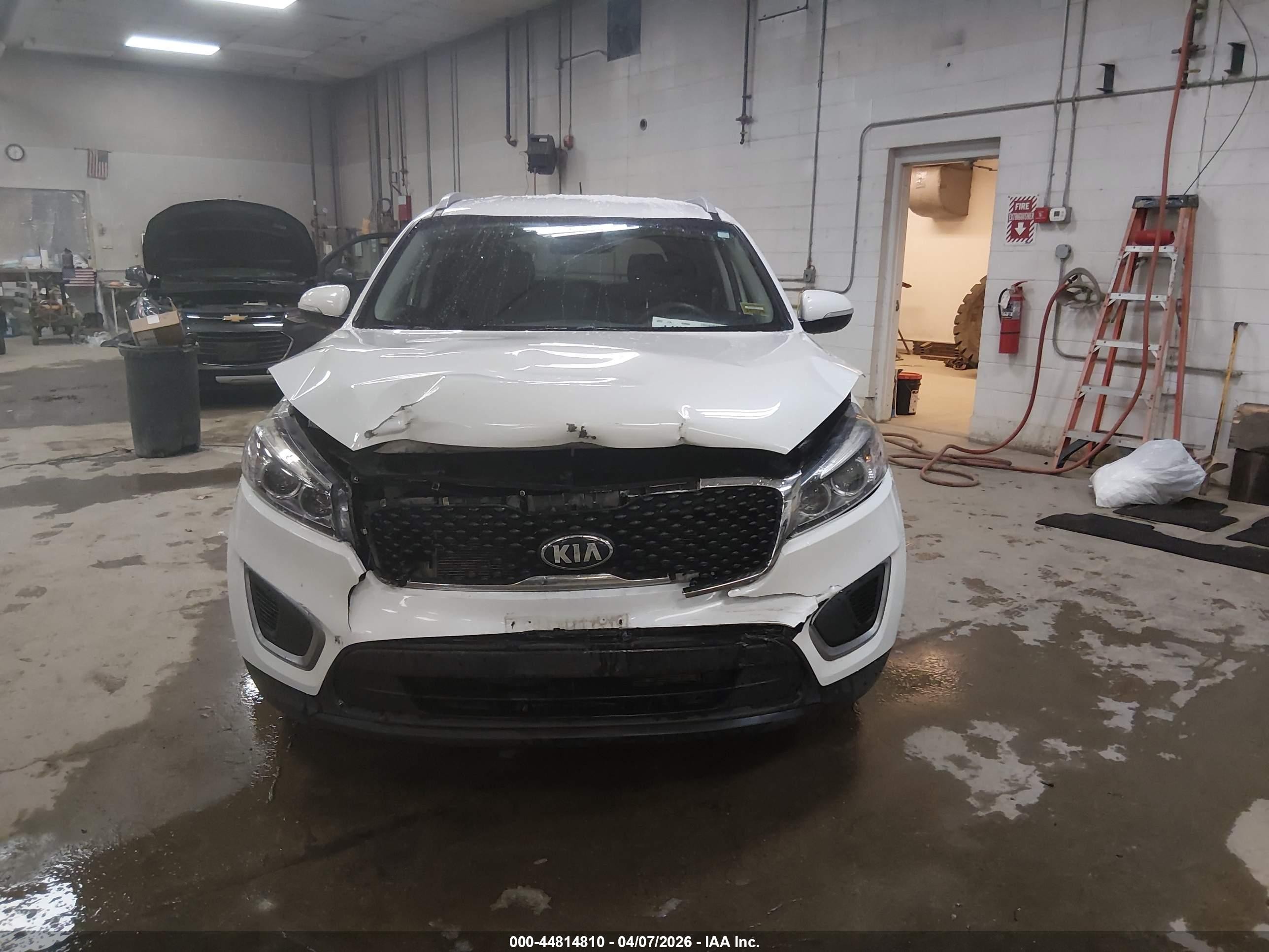 2017 Kia Sorento 3.3l Lx White vin: 5XYPGDA50HG199844