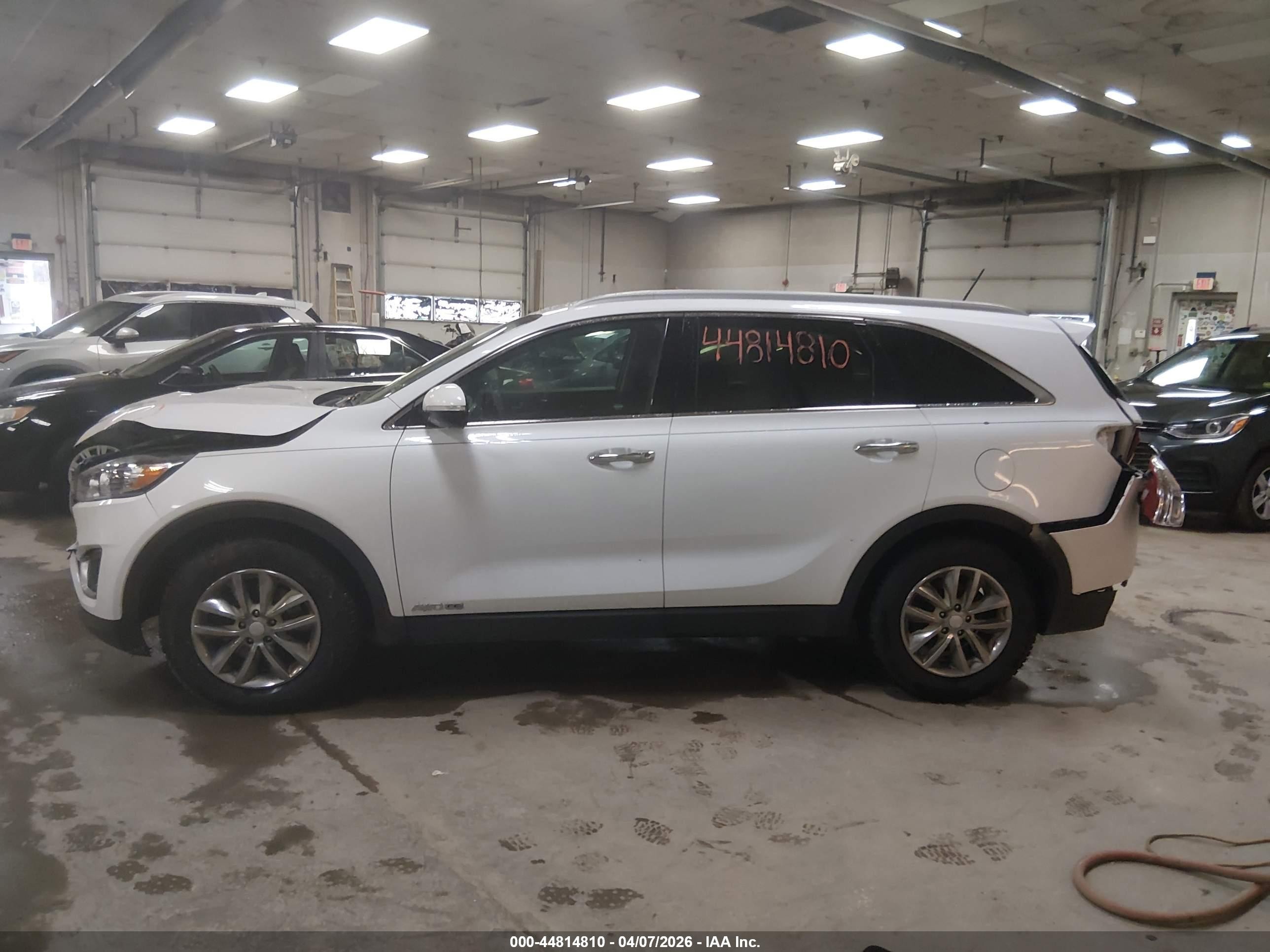 2017 Kia Sorento 3.3l Lx White vin: 5XYPGDA50HG199844