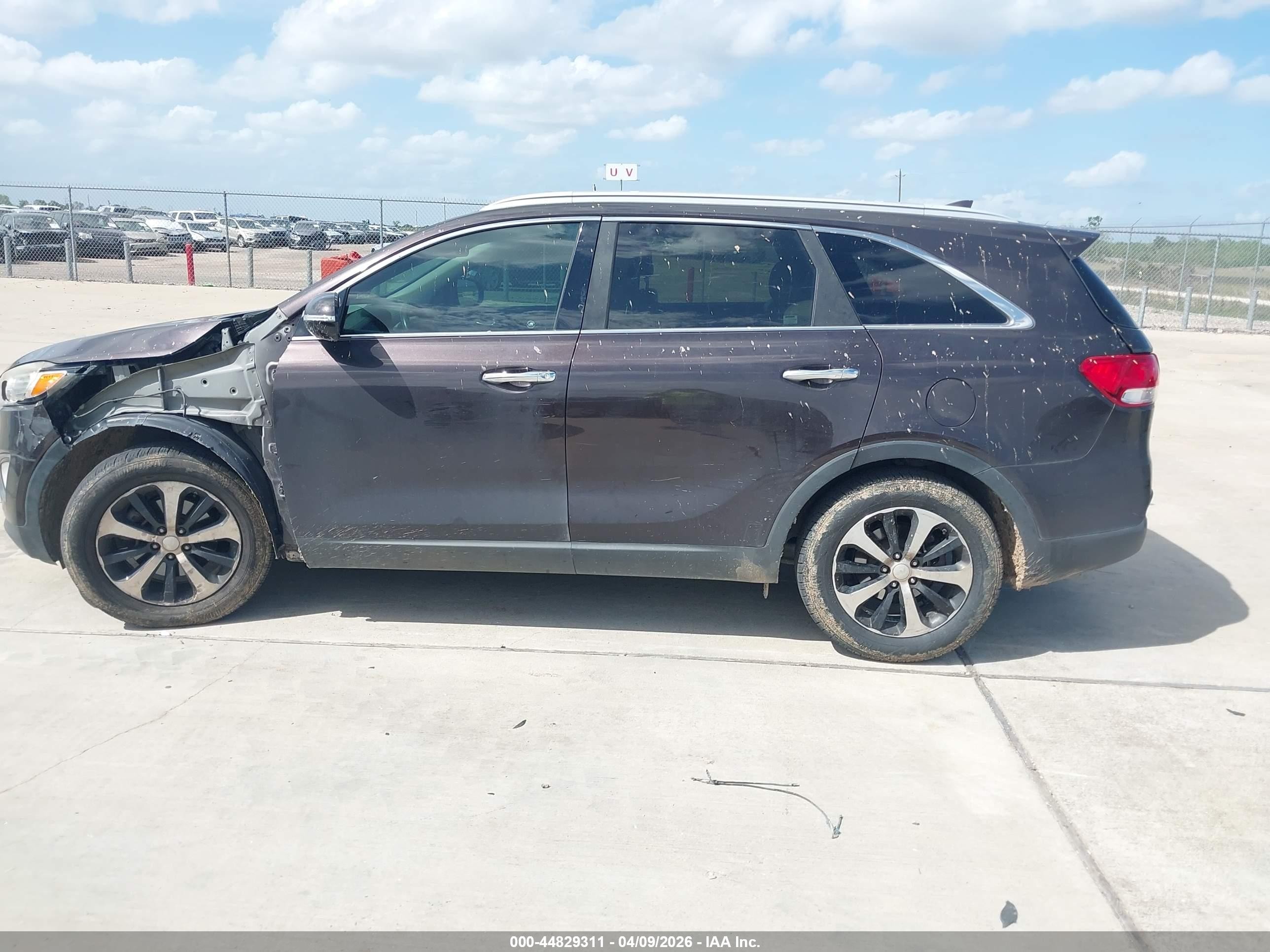 2016 Kia Sorento 3.3l Ex Purple vin: 5XYPH4A52GG135199