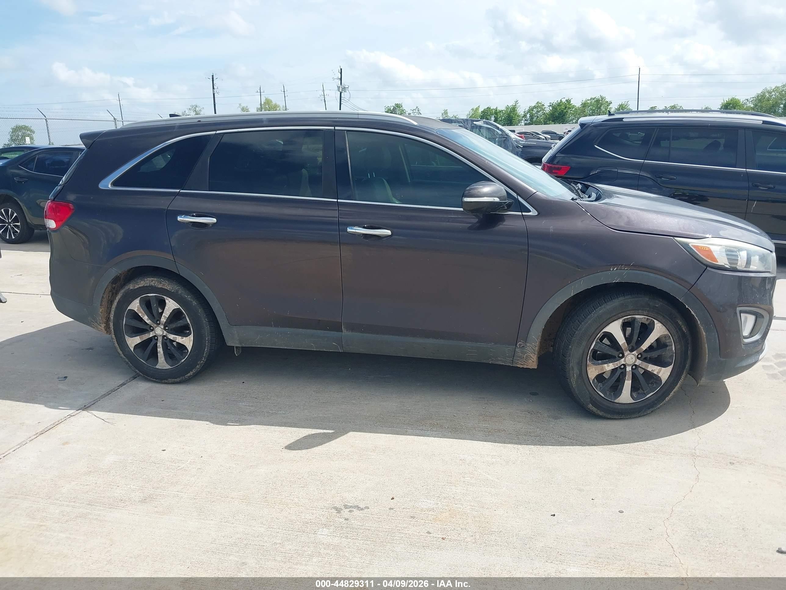 2016 Kia Sorento 3.3l Ex Purple vin: 5XYPH4A52GG135199