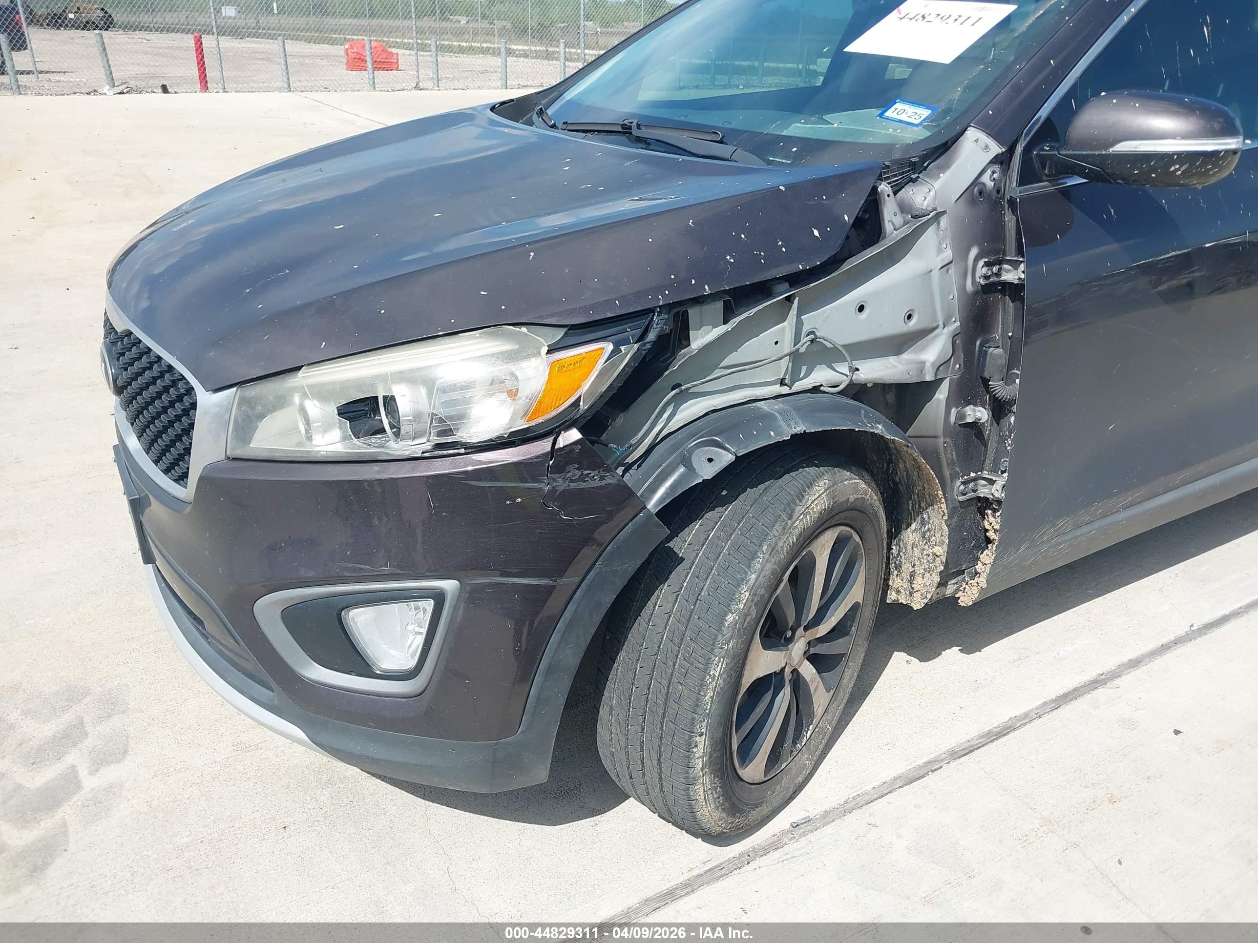 2016 Kia Sorento 3.3l Ex Purple vin: 5XYPH4A52GG135199