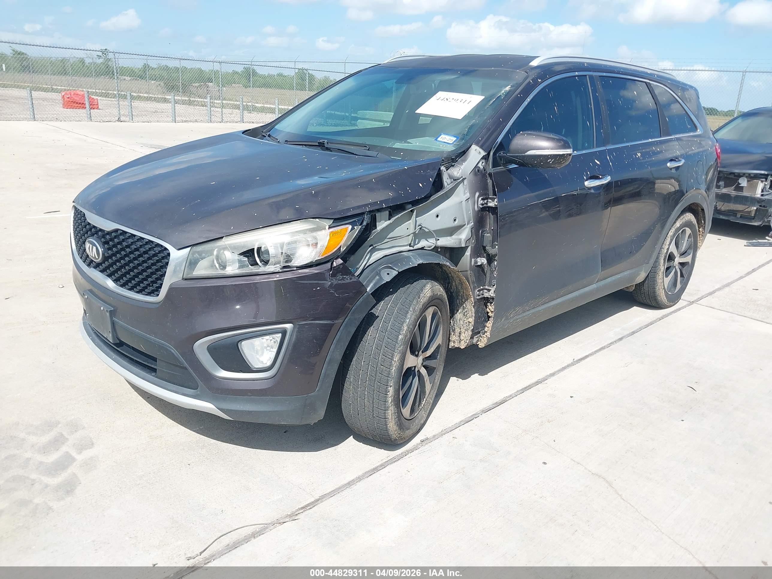 2016 Kia Sorento 3.3l Ex Purple vin: 5XYPH4A52GG135199
