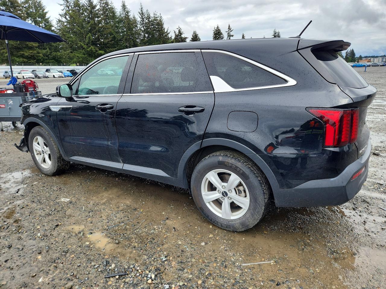 2023 Kia Sorento Lx Black vin: 5XYRG4LC4PG201372