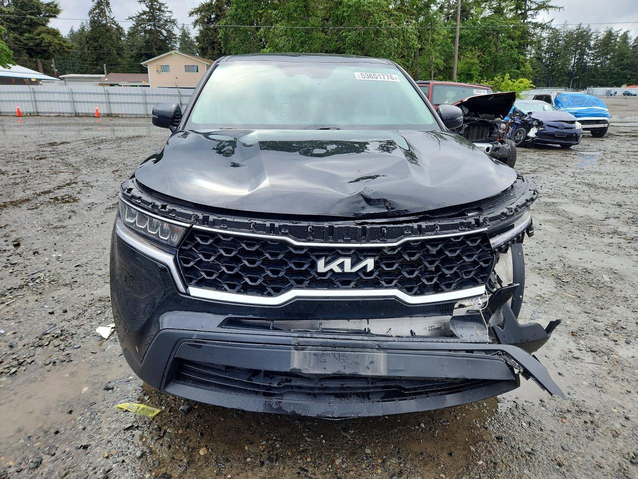 2023 Kia Sorento Lx Black vin: 5XYRG4LC4PG201372