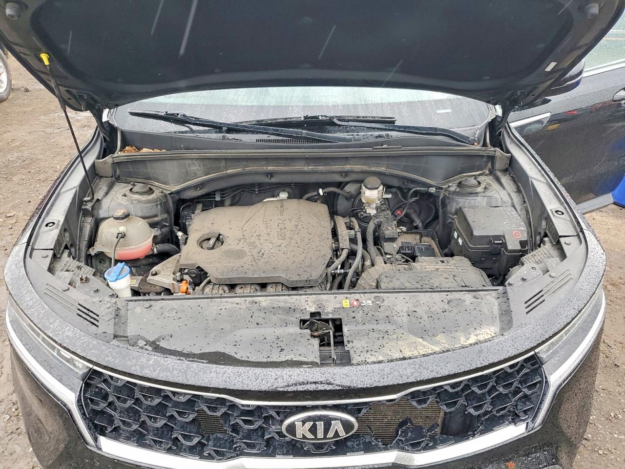 2021 Kia Sorento Lx Черный vin: 5XYRGDLC9MG017671
