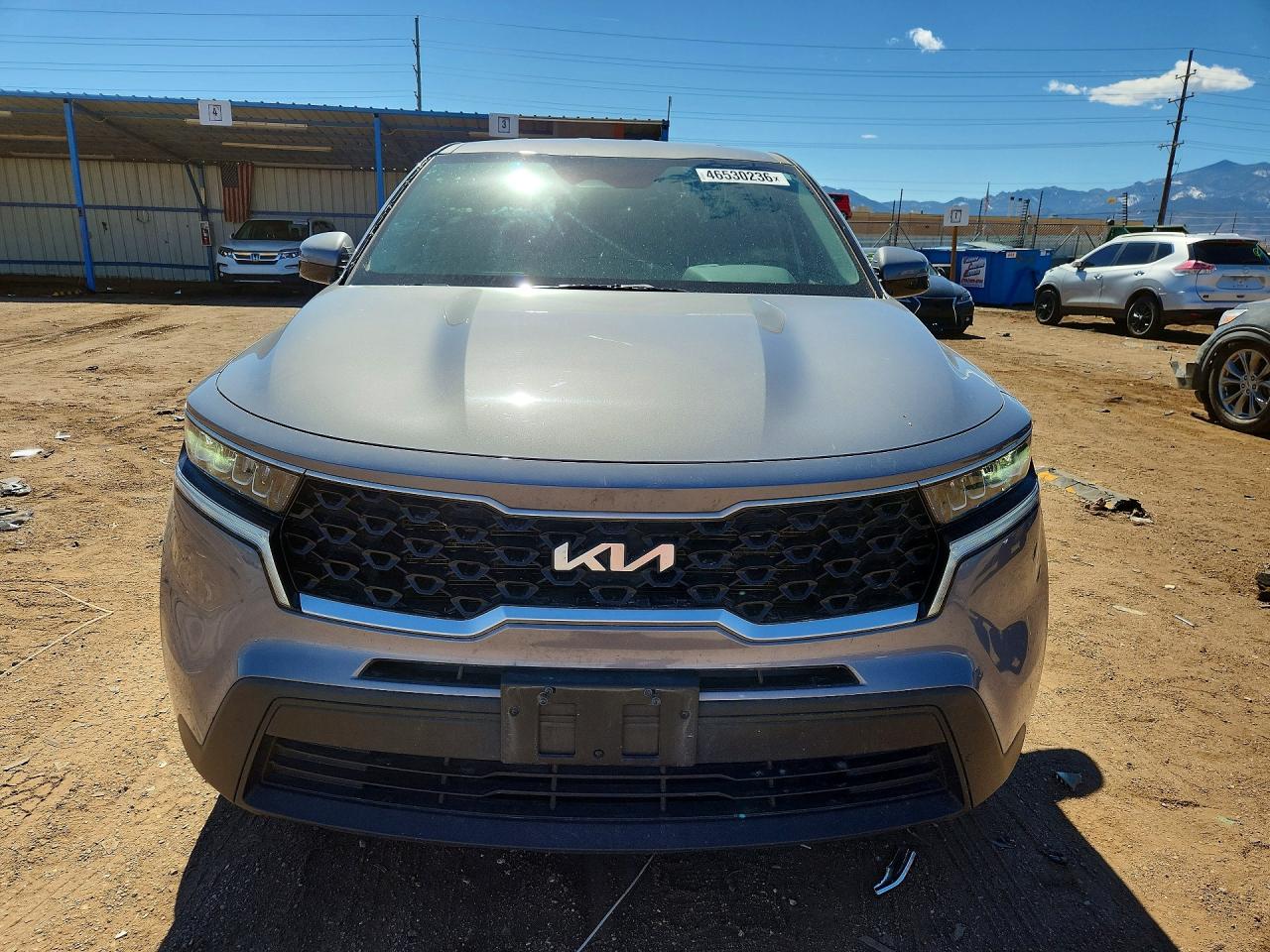 2023 Kia Sorento Lx Gray vin: 5XYRGDLCXPG184982