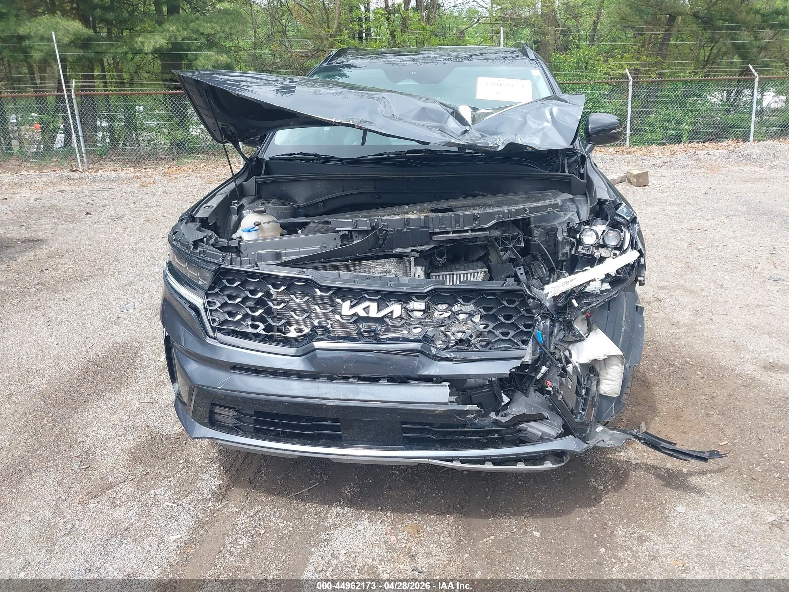 2023 Kia Sorento Sx Черный vin: 5XYRK4LF5PG242439