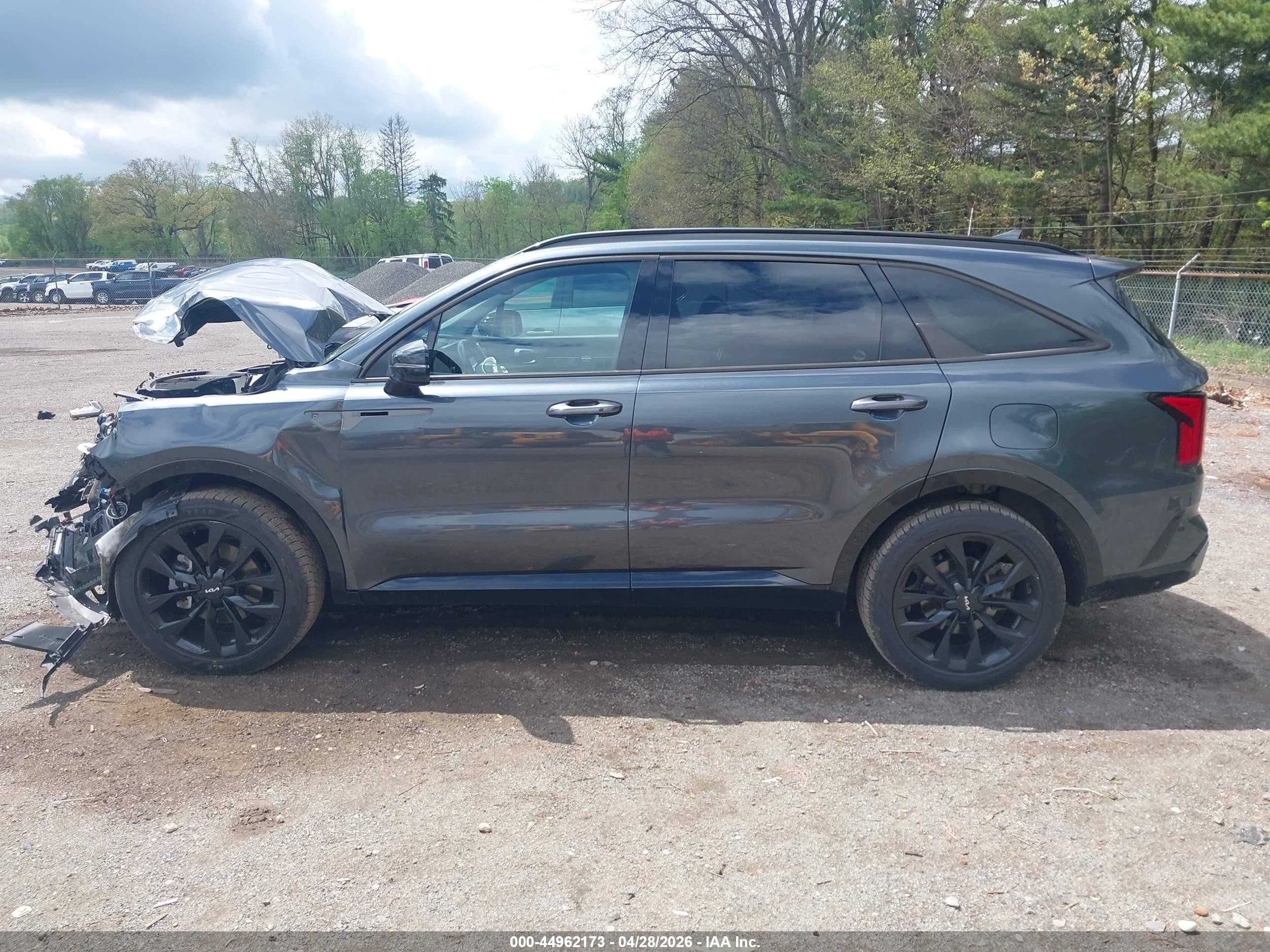 2023 Kia Sorento Sx Черный vin: 5XYRK4LF5PG242439