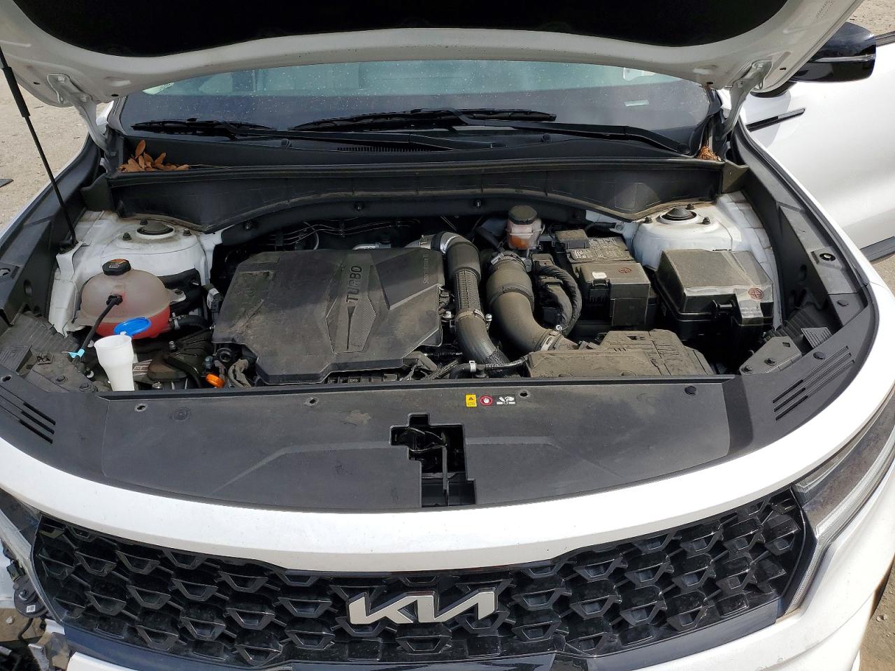 2023 Kia Sorento Sx White vin: 5XYRKDLF5PG223650