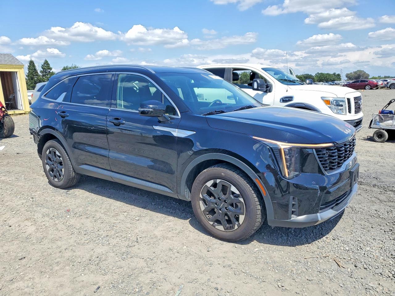2024 Kia Sorento S Black vin: 5XYRL4JC3RG257191