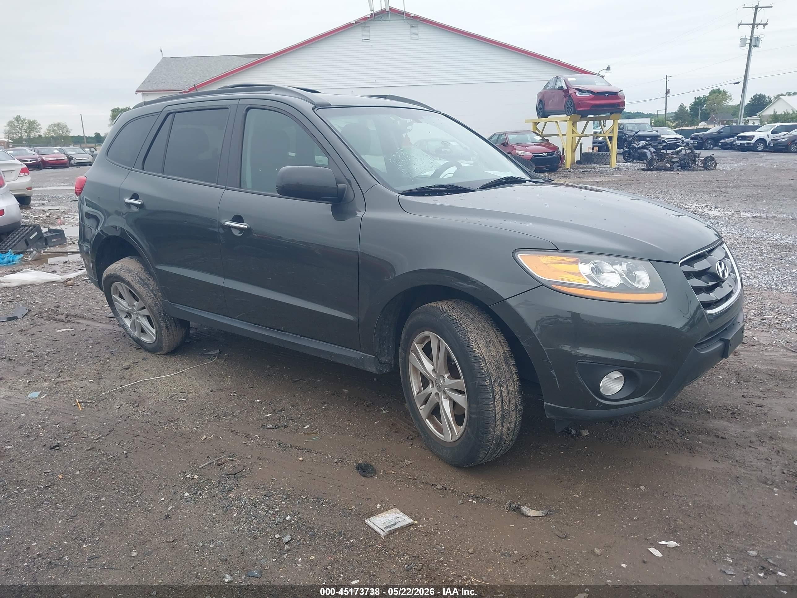 2011 Hyundai Santa Fe Limited V6 Серый vin: 5XYZKDAG2BG075901