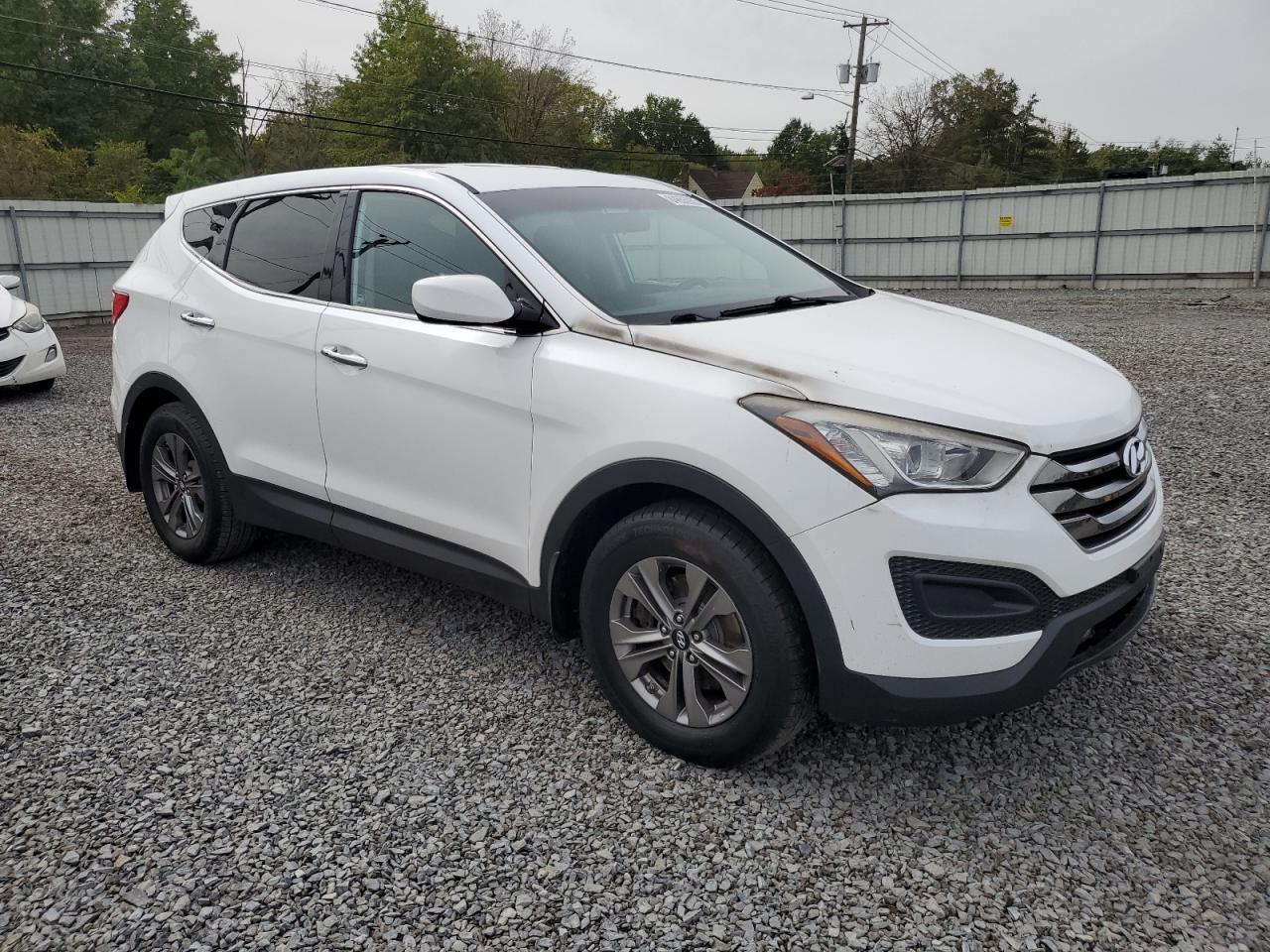 2015 Hyundai Santa Fe Sport White vin: 5XYZTDLBXFG305057