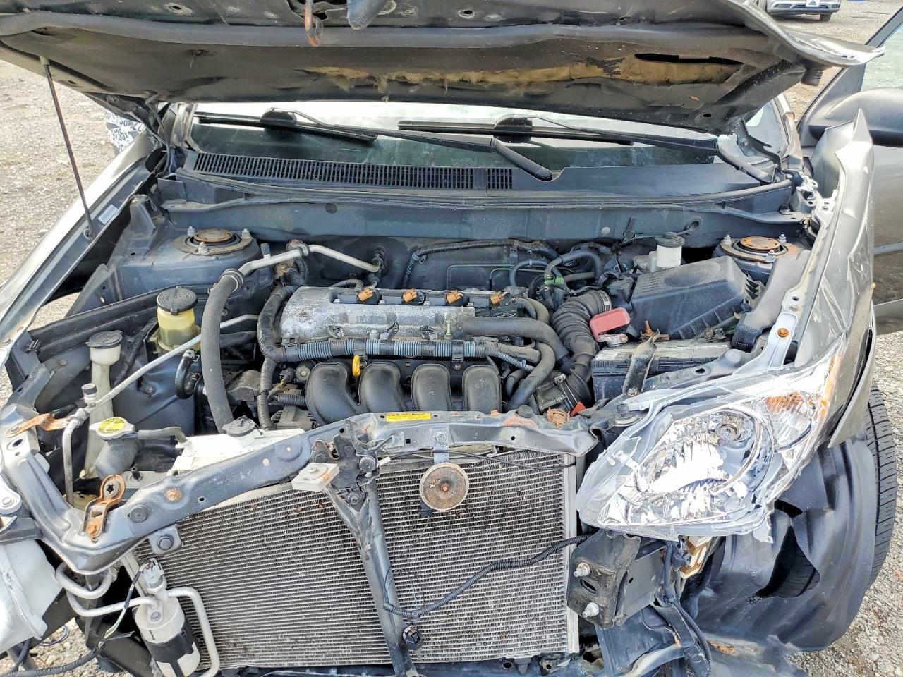 2005 Pontiac Vibe Gray vin: 5Y2SL63875Z436979