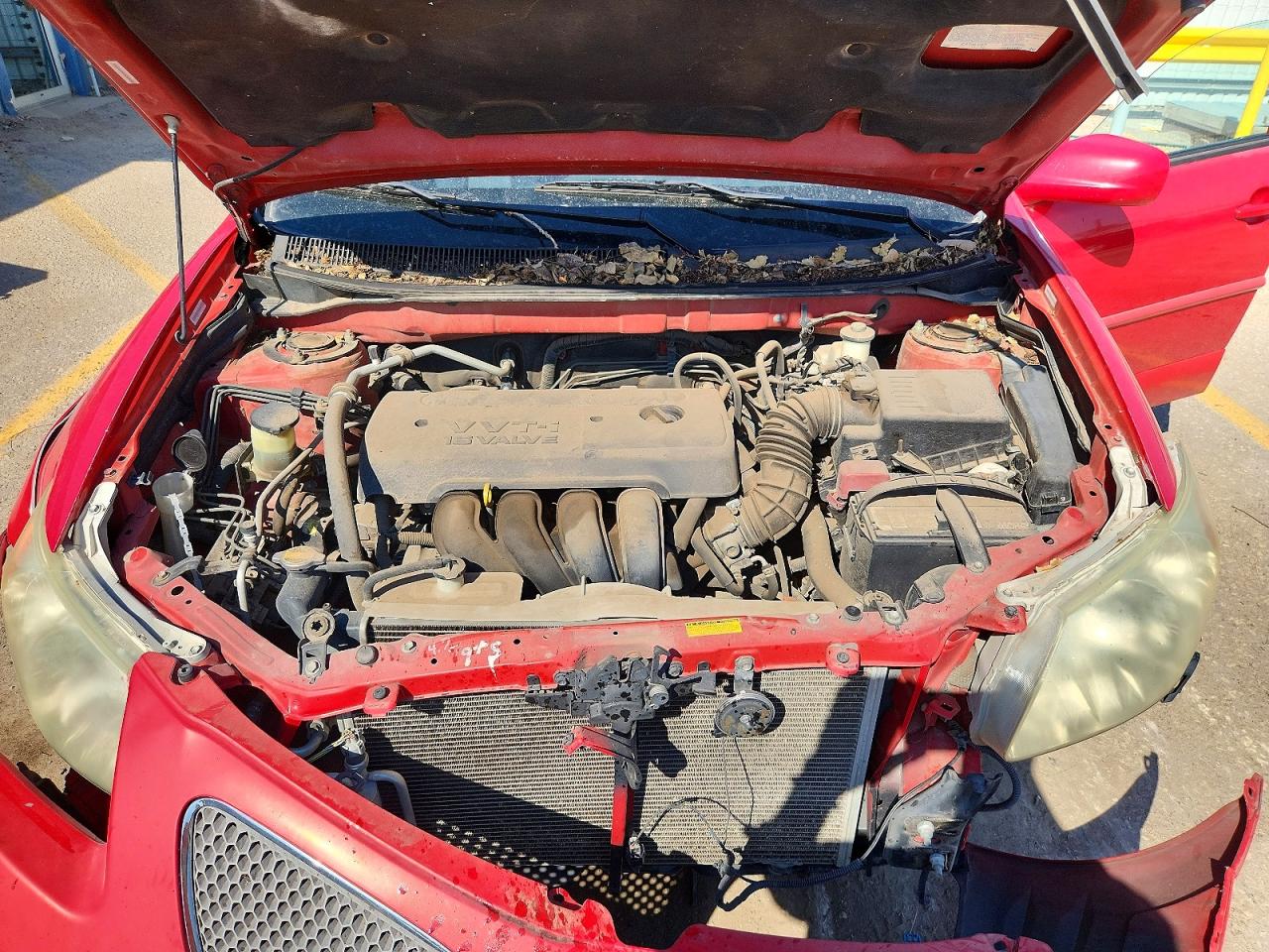 2006 Pontiac Vibe Red vin: 5Y2SL65866Z428340