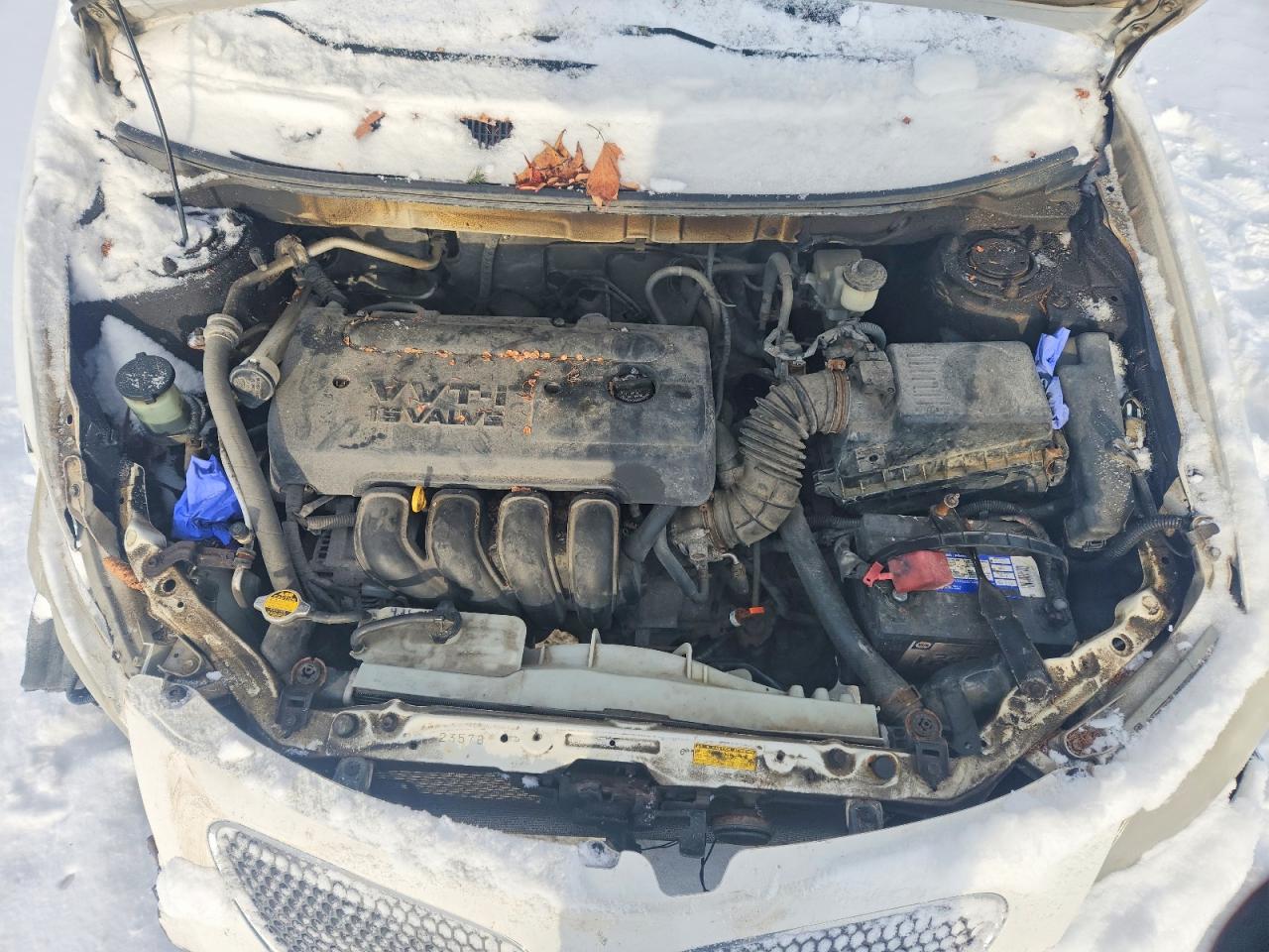 2006 Pontiac Vibe White vin: 5Y2SL65886Z439890