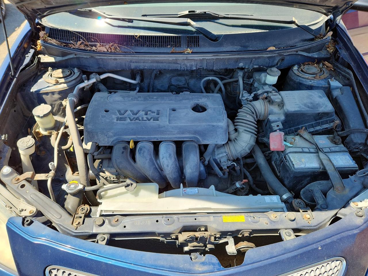 2006 Pontiac Vibe Blue vin: 5Y2SL65886Z456446