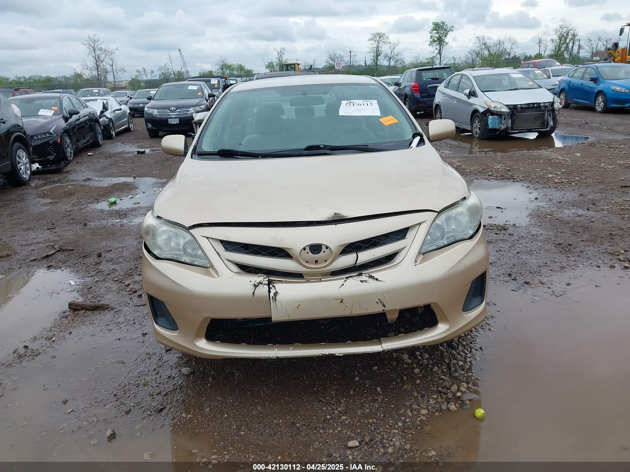 2013 Toyota Corolla L Золотой vin: 5YFBU4EE5DP215796