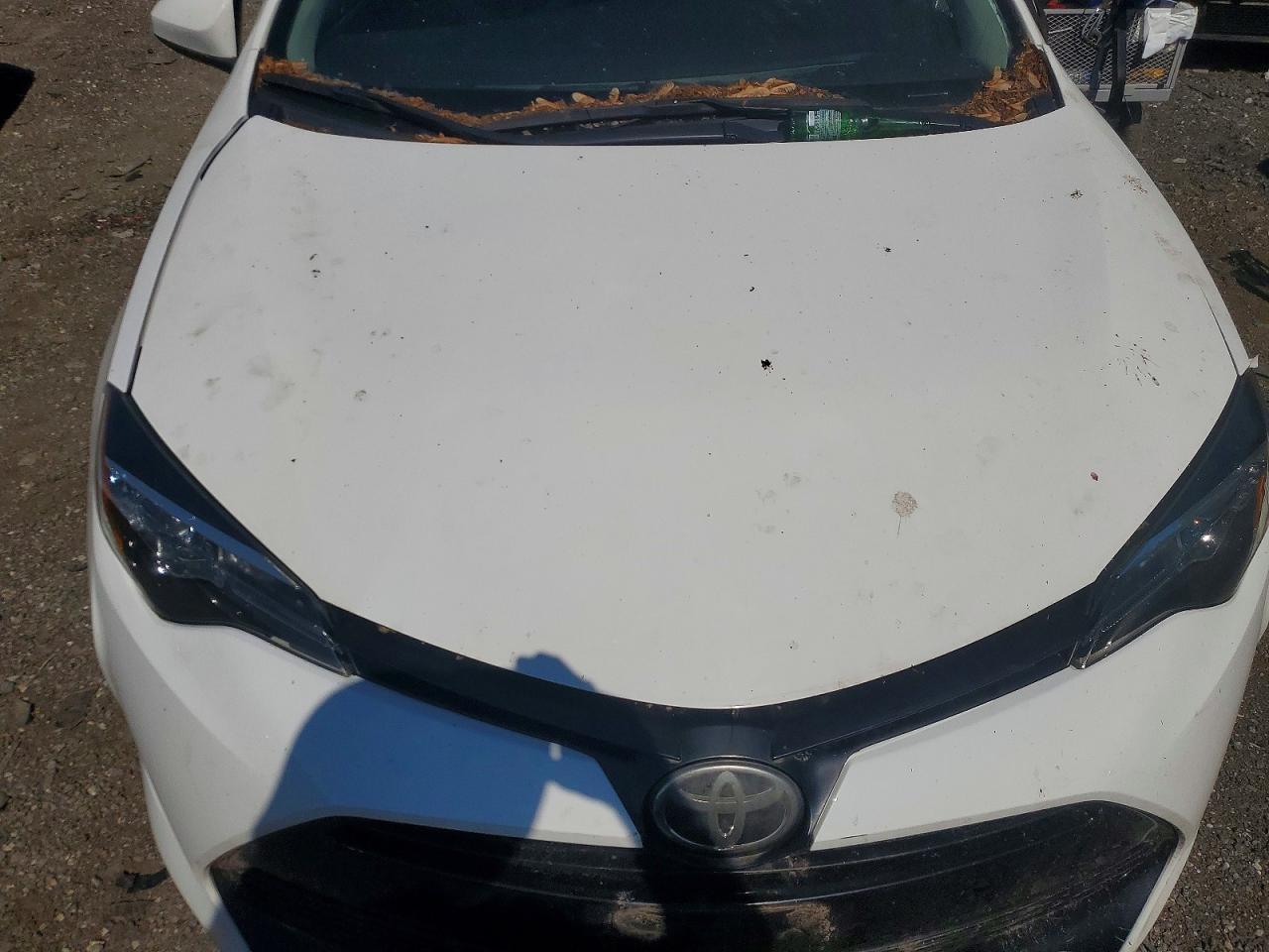 2019 Toyota Corolla Le White vin: 5YFBURHE1KP904286