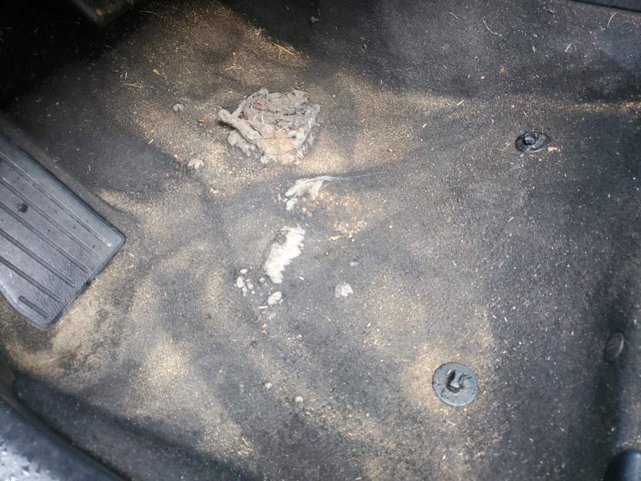 2015 Toyota Corolla Le Silver vin: 5YFBURHE5FP327820 Damage: Left Front Carpet, Worn, Replacement Required