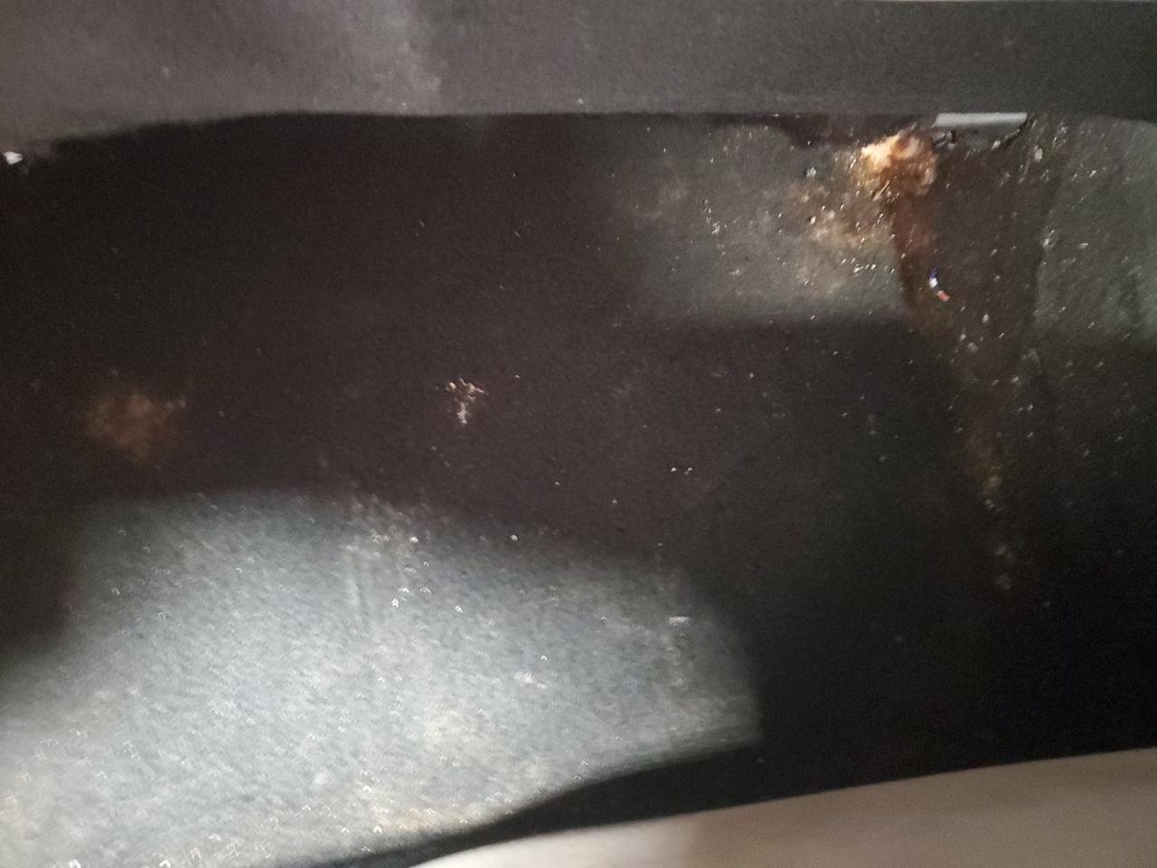 2021 Toyota Corolla Le Blue vin: 5YFEPMAE9MP179783 Damage: Left Rear Carpet, Stained, Permanent
