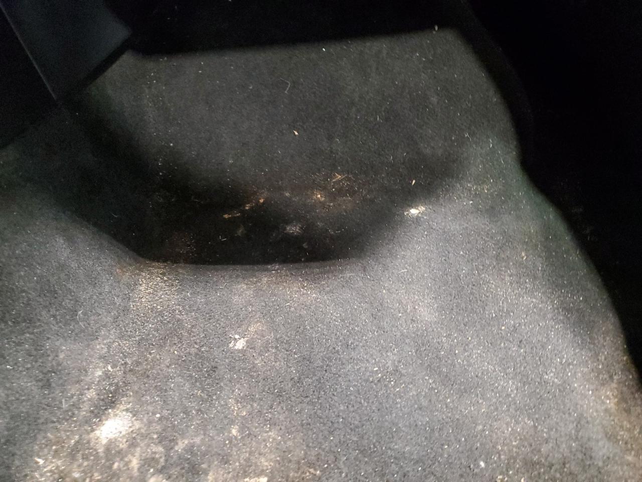 2021 Toyota Corolla Le Blue vin: 5YFEPMAE9MP179783 Damage: Right Front Carpet, Stained, Permanent