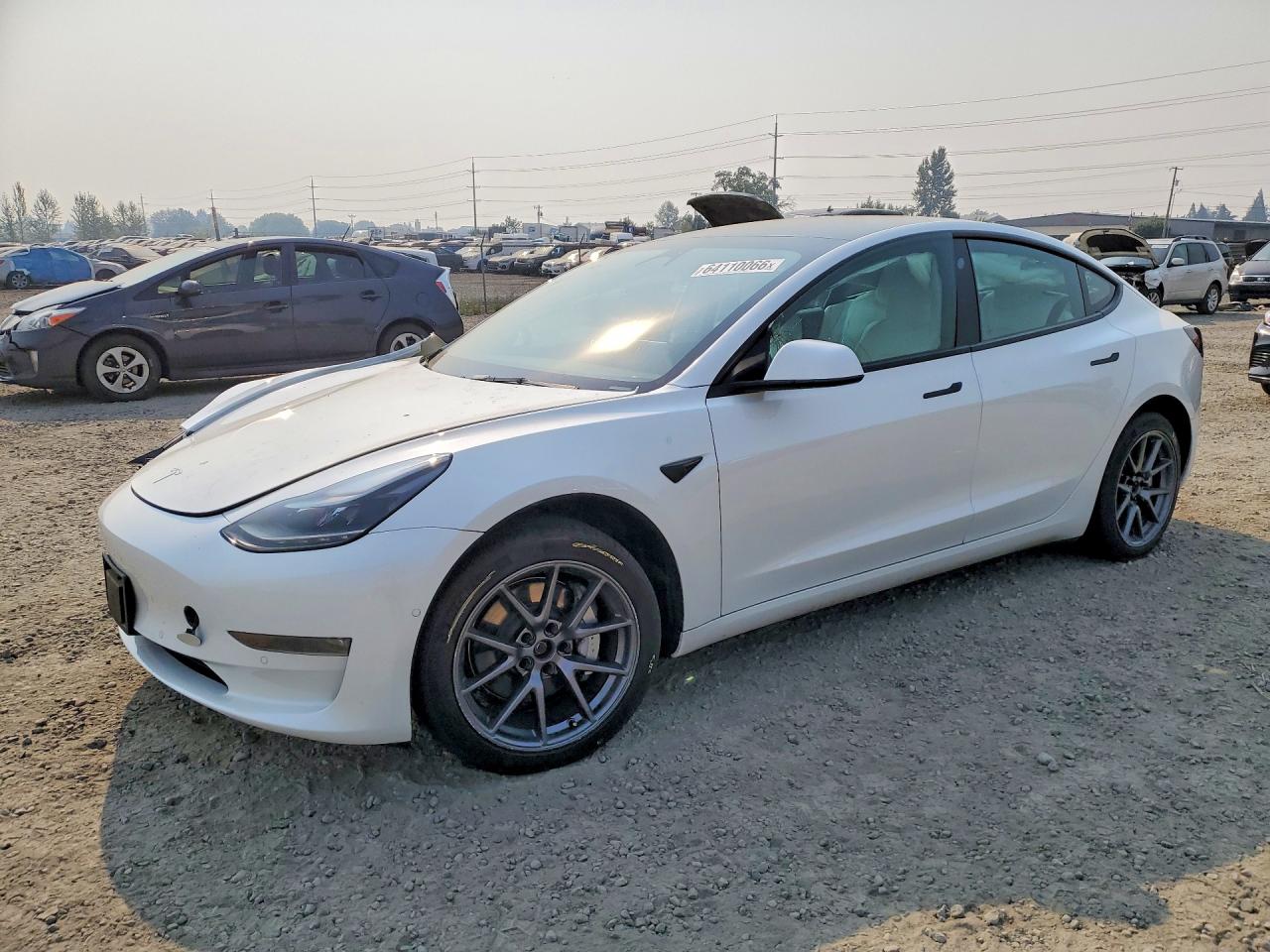 2022 Tesla Model 3 White vin: 5YJ3E1EB1NF343164