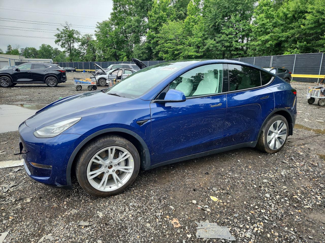 2021 Tesla Model Y Blue vin: 5YJYGDEE3MF303680