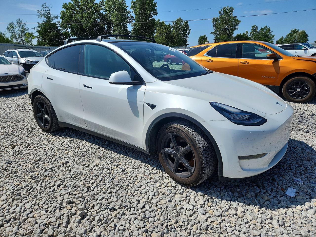 2021 Tesla Model Y White vin: 5YJYGDEE7MF118659