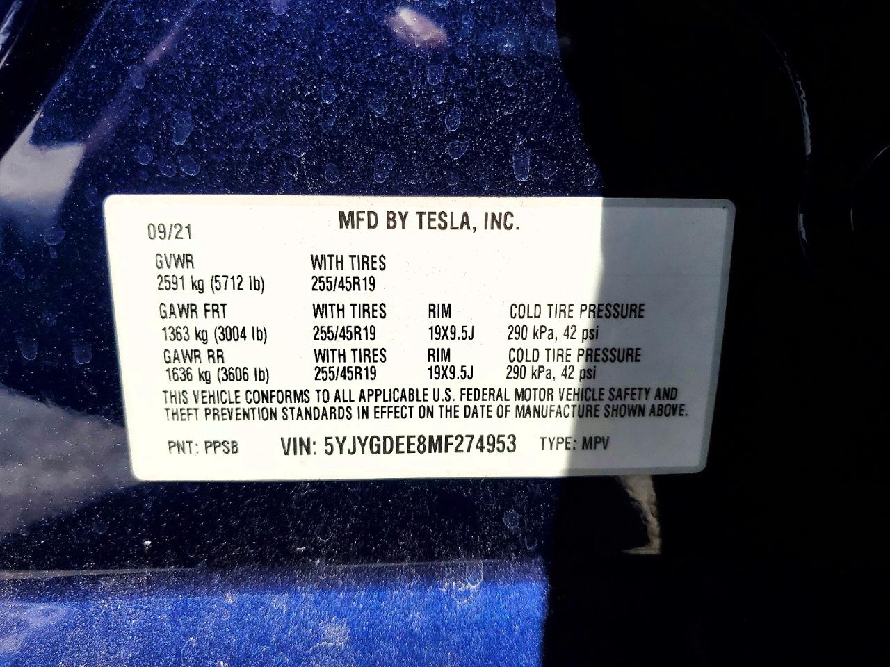 2021 Tesla Model Y Blue vin: 5YJYGDEE8MF274953
