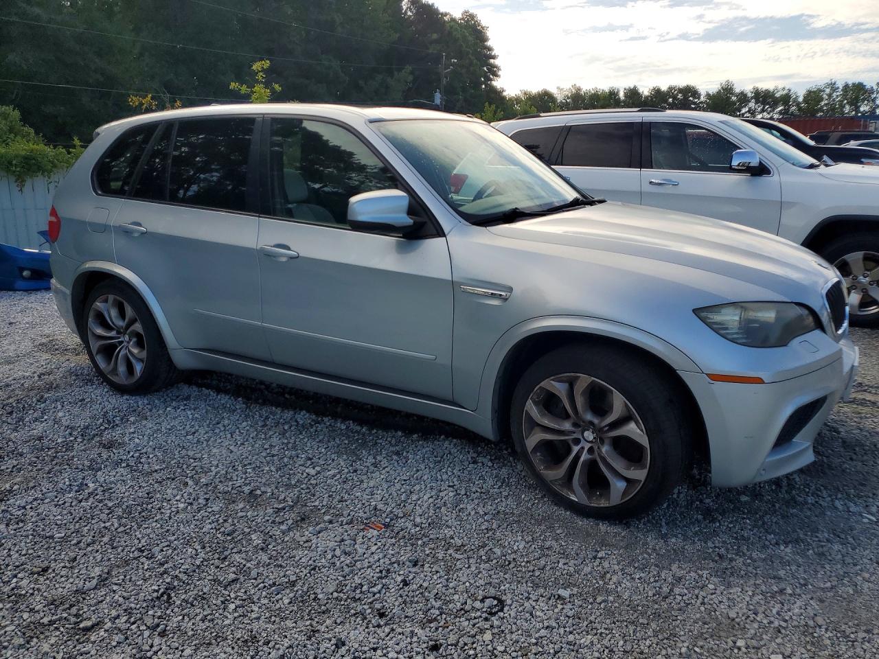 2010 Bmw X5 M Blue vin: 5YMGY0C58ALK25448