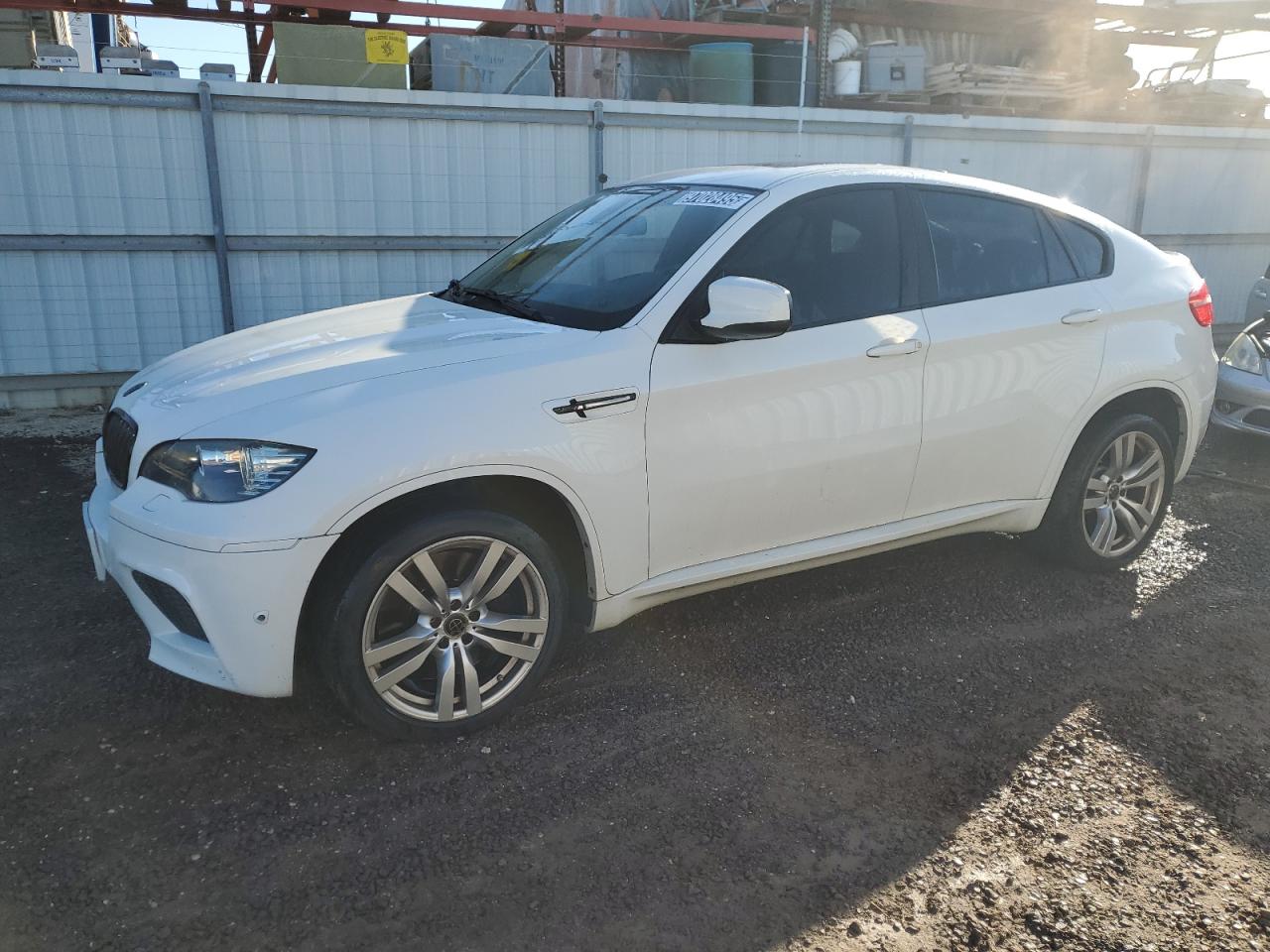 2012 Bmw X6 M White vin: 5YMGZ0C53CLL29619 Damage: Left Front Tire, Worn, Replacement Required