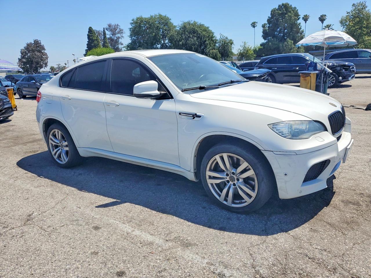 2012 Bmw X6 M White vin: 5YMGZ0C53CLL29619