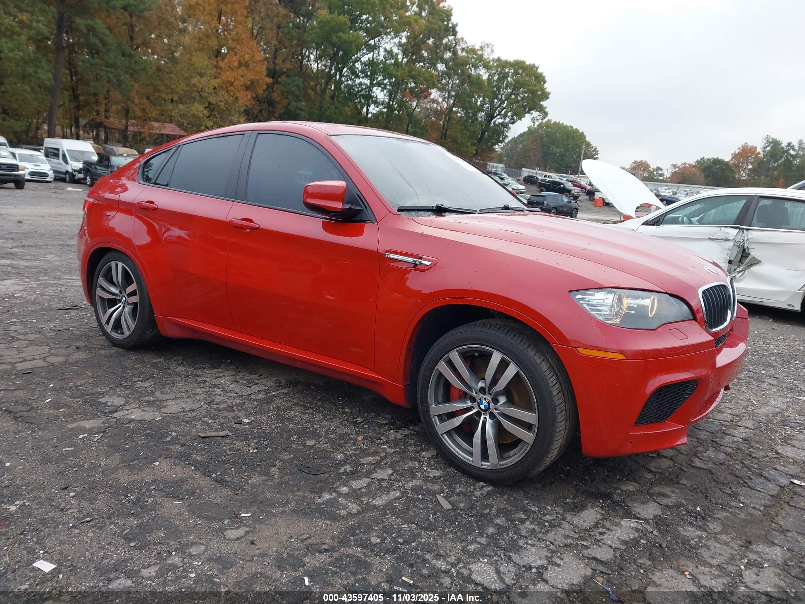 2010 Bmw X6 M   Red vin: 5YMGZ0C55ALK13299