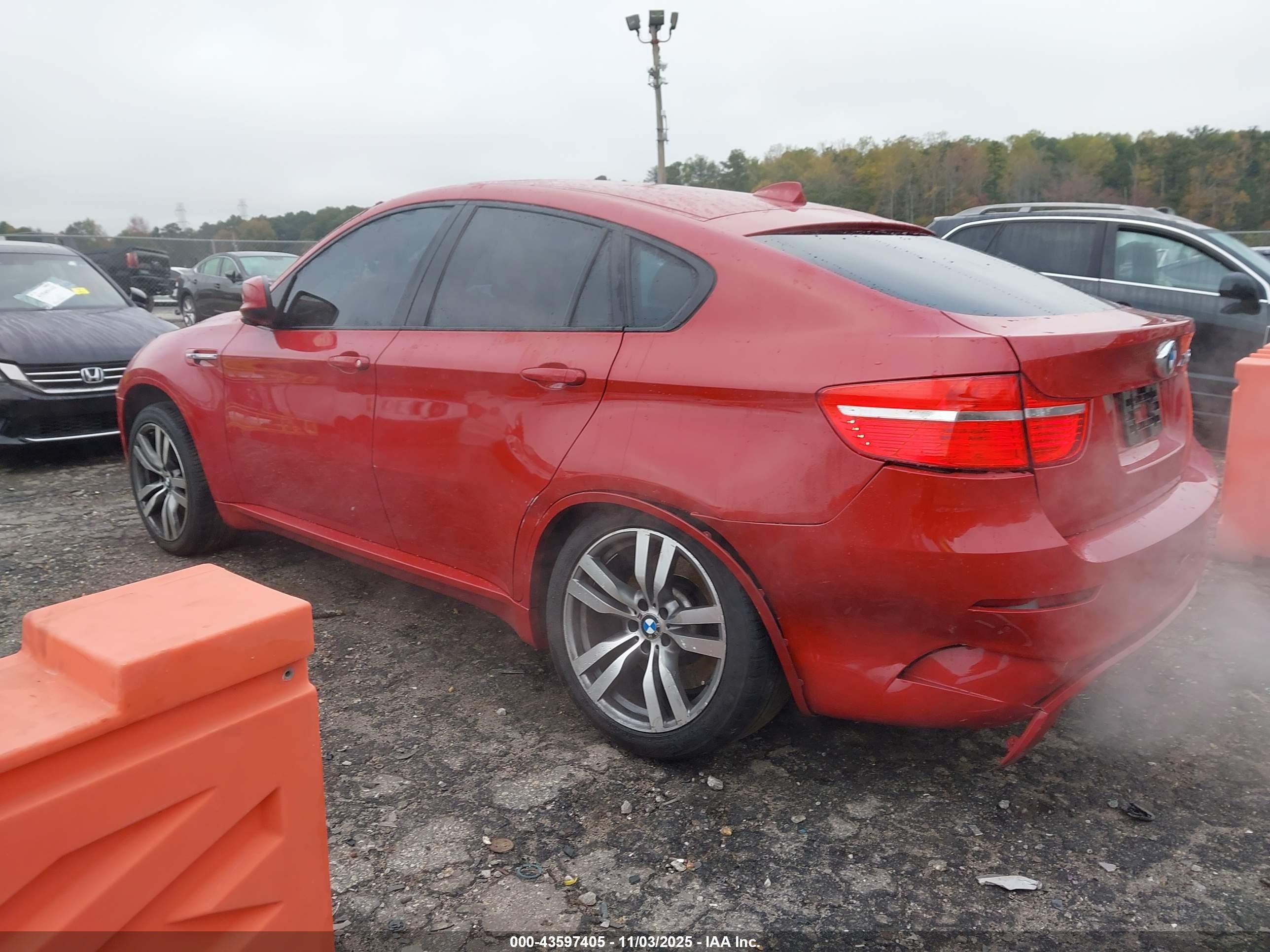 2010 Bmw X6 M   Red vin: 5YMGZ0C55ALK13299