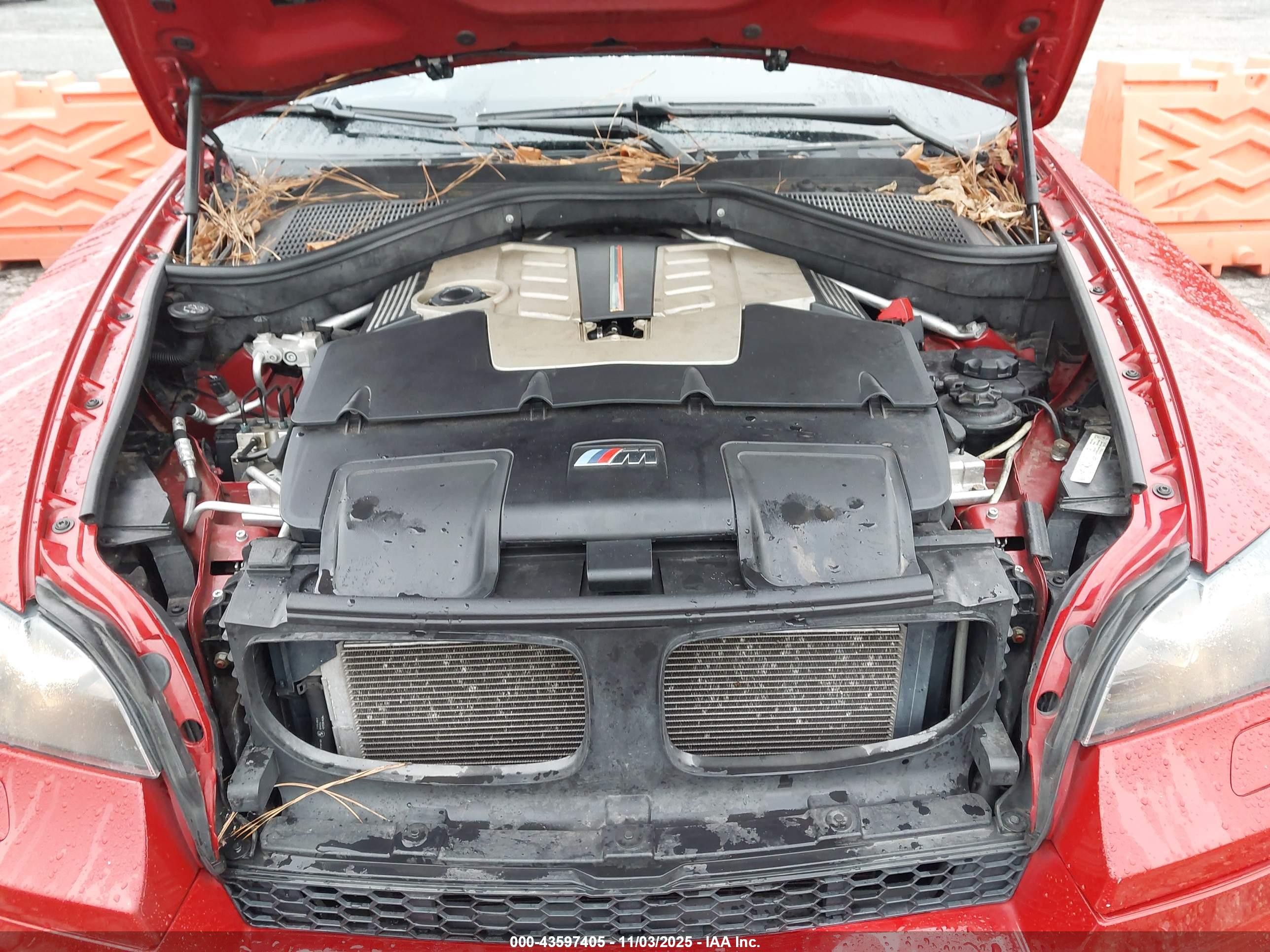 2010 Bmw X6 M   Red vin: 5YMGZ0C55ALK13299