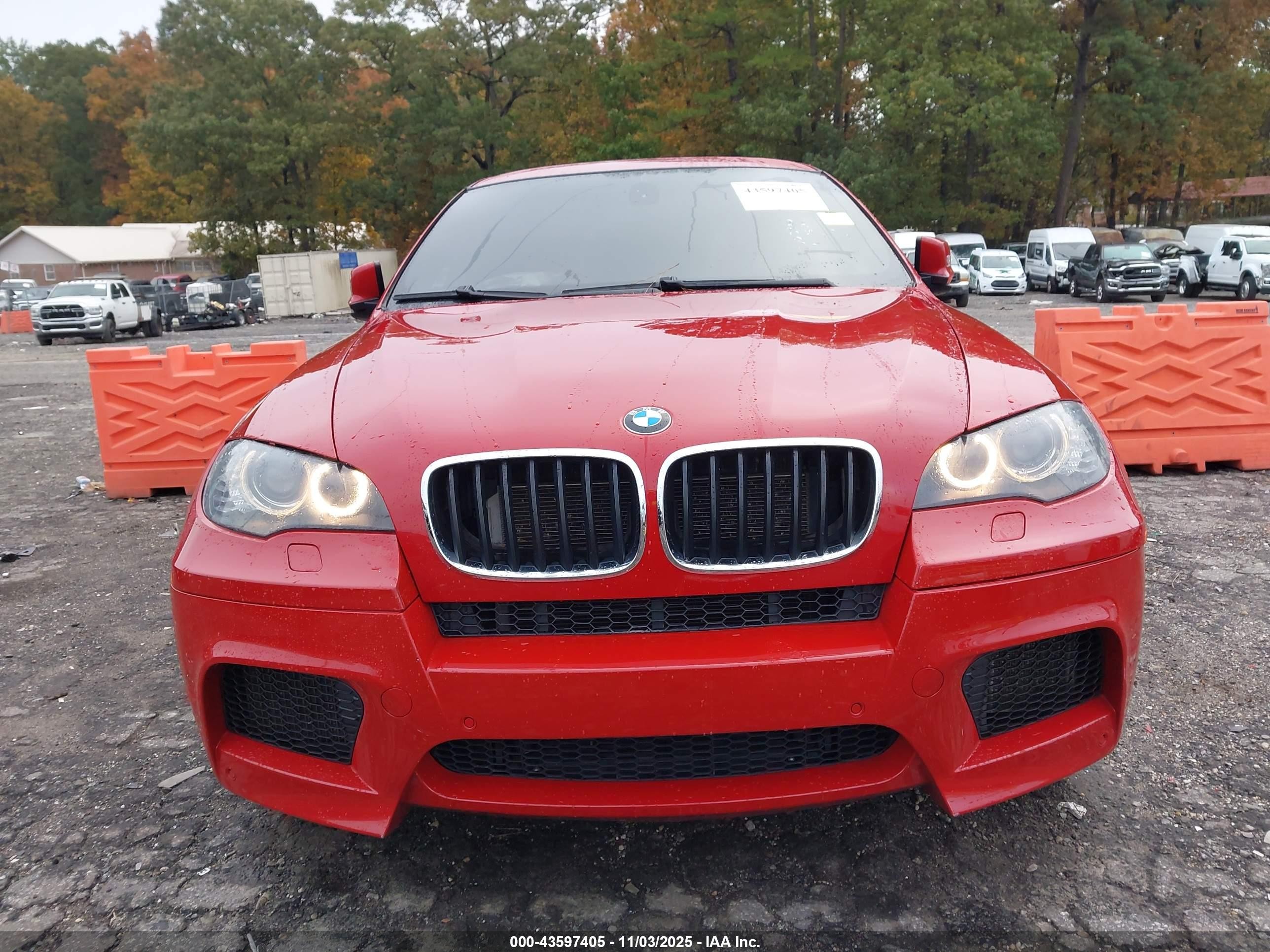 2010 Bmw X6 M   Red vin: 5YMGZ0C55ALK13299